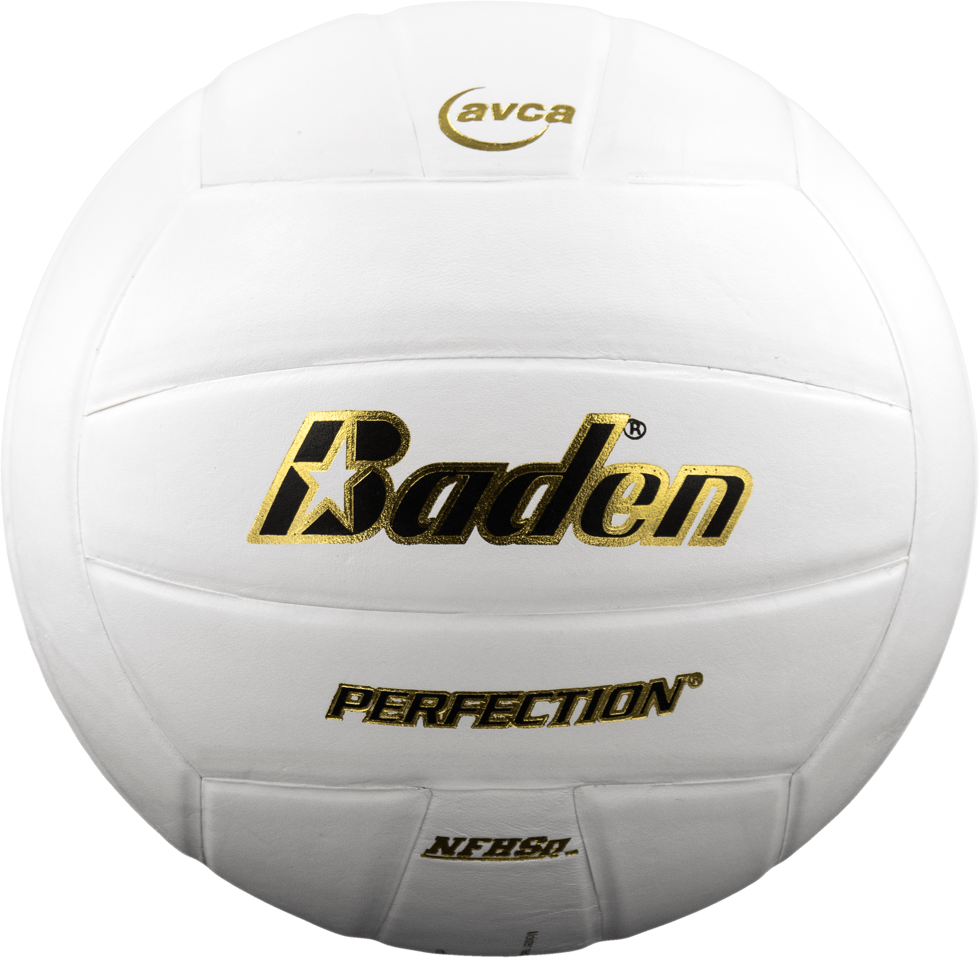 Perfection Leather Volleyball - Maximum Velocity Sports