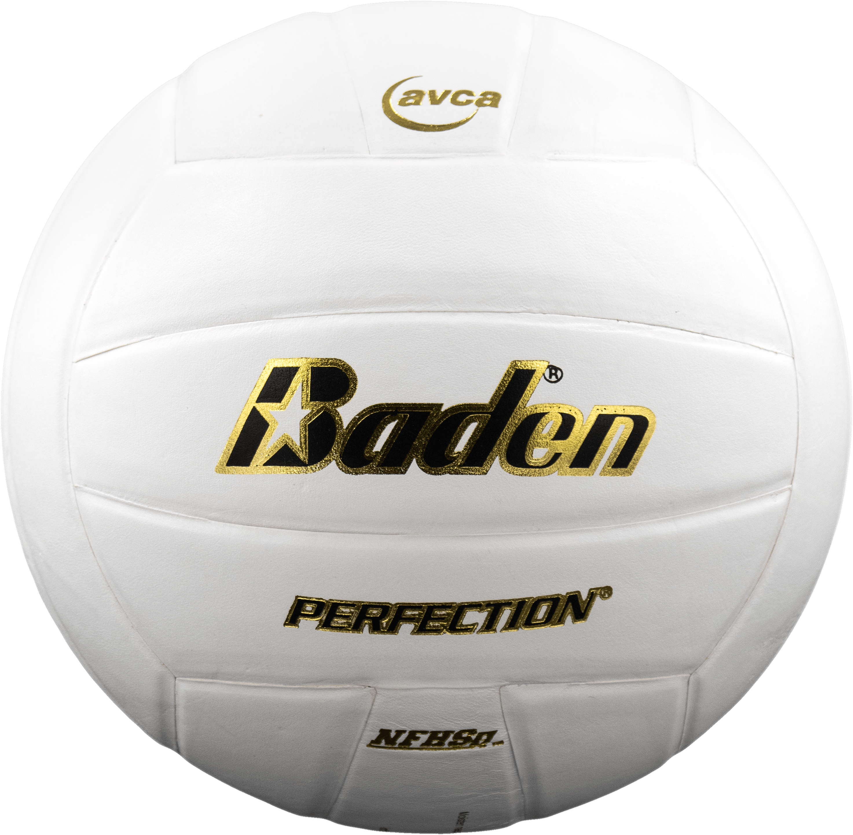 Perfection Leather Volleyball - Maximum Velocity Sports