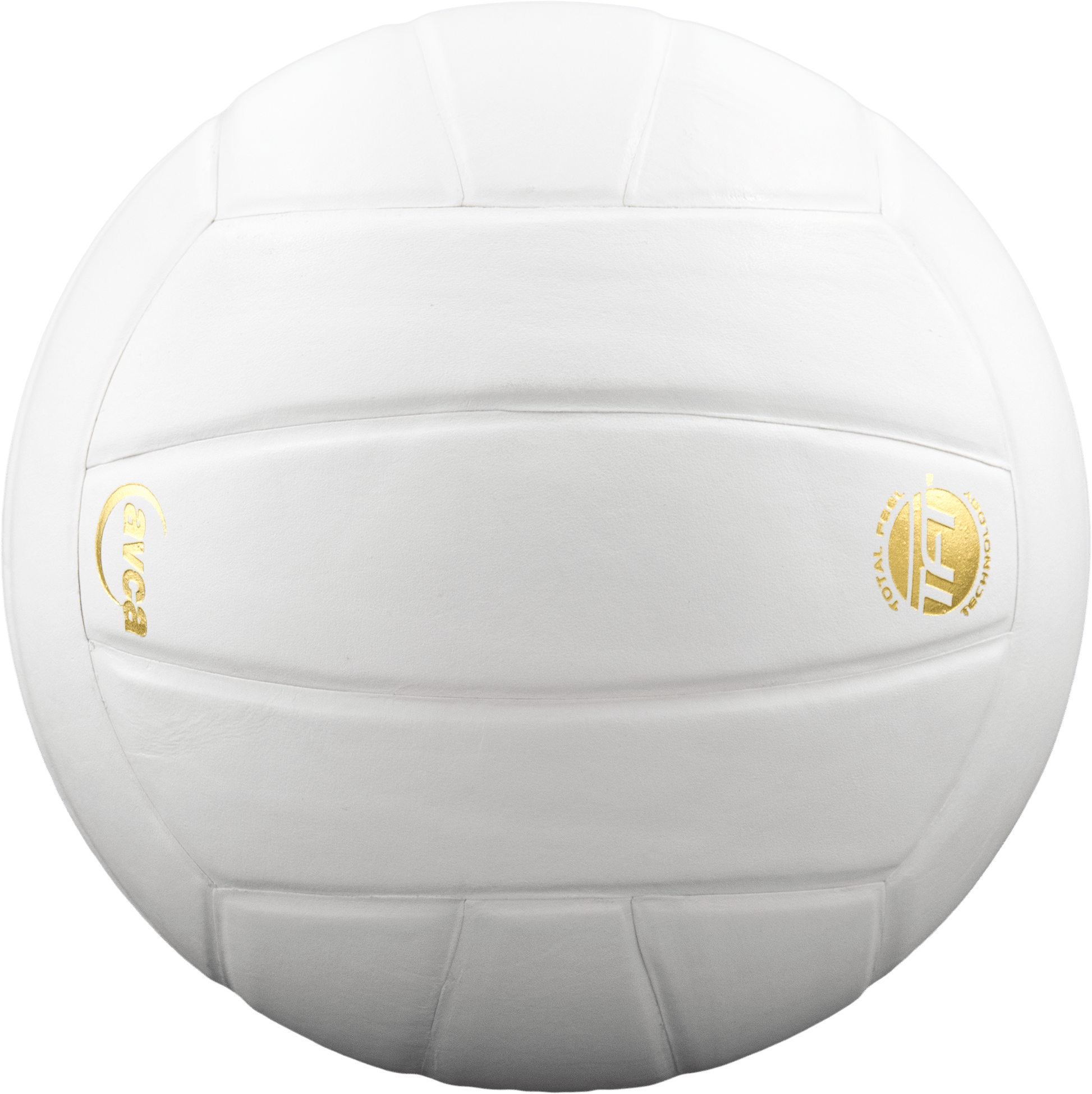 Perfection Leather Volleyball - Maximum Velocity Sports