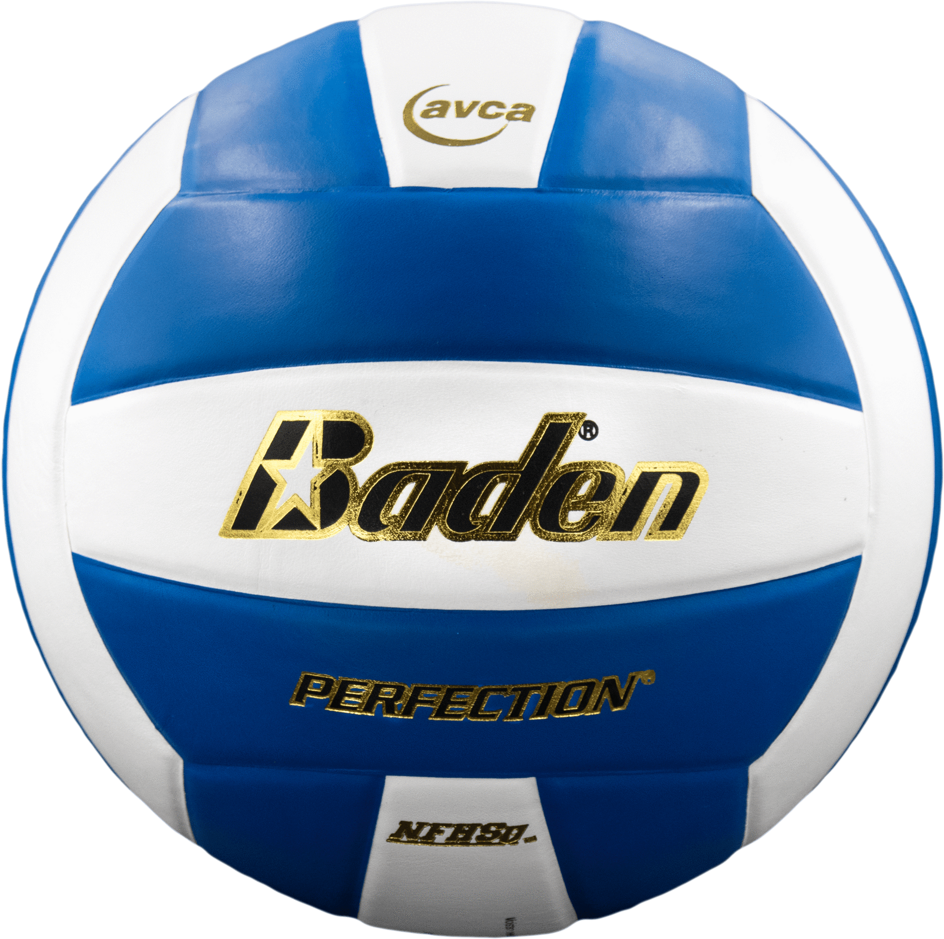 Perfection Leather Volleyball - Maximum Velocity Sports