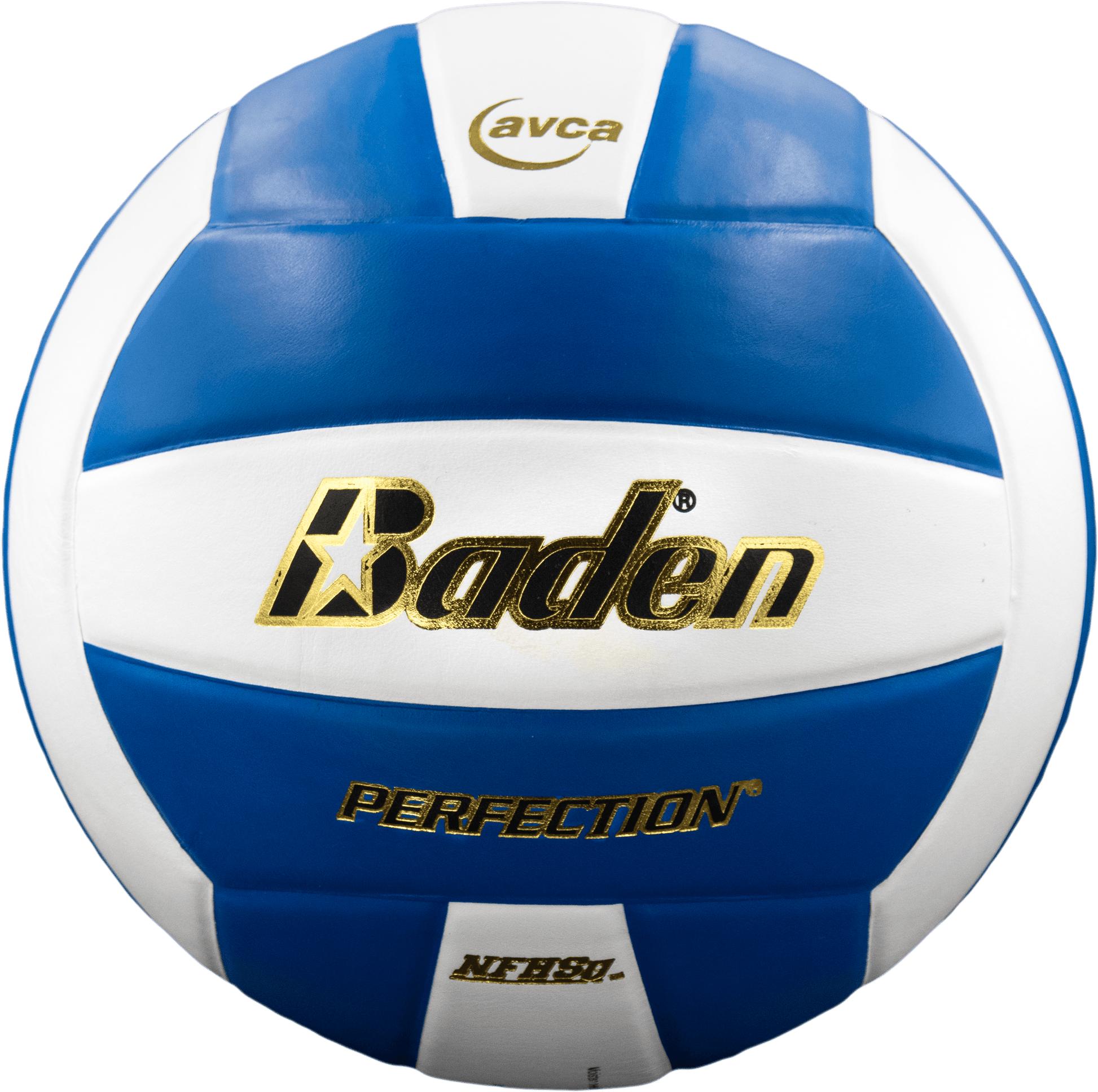 Perfection Leather Volleyball - Maximum Velocity Sports