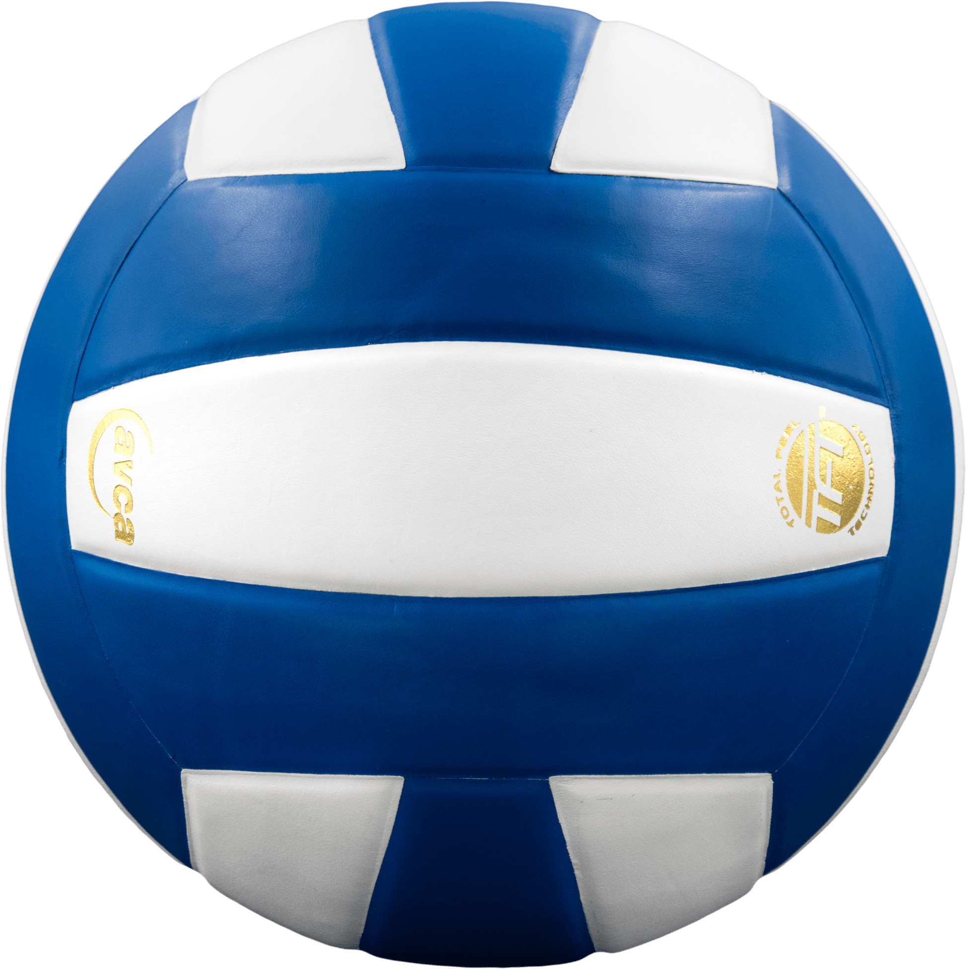 Perfection Leather Volleyball - Maximum Velocity Sports