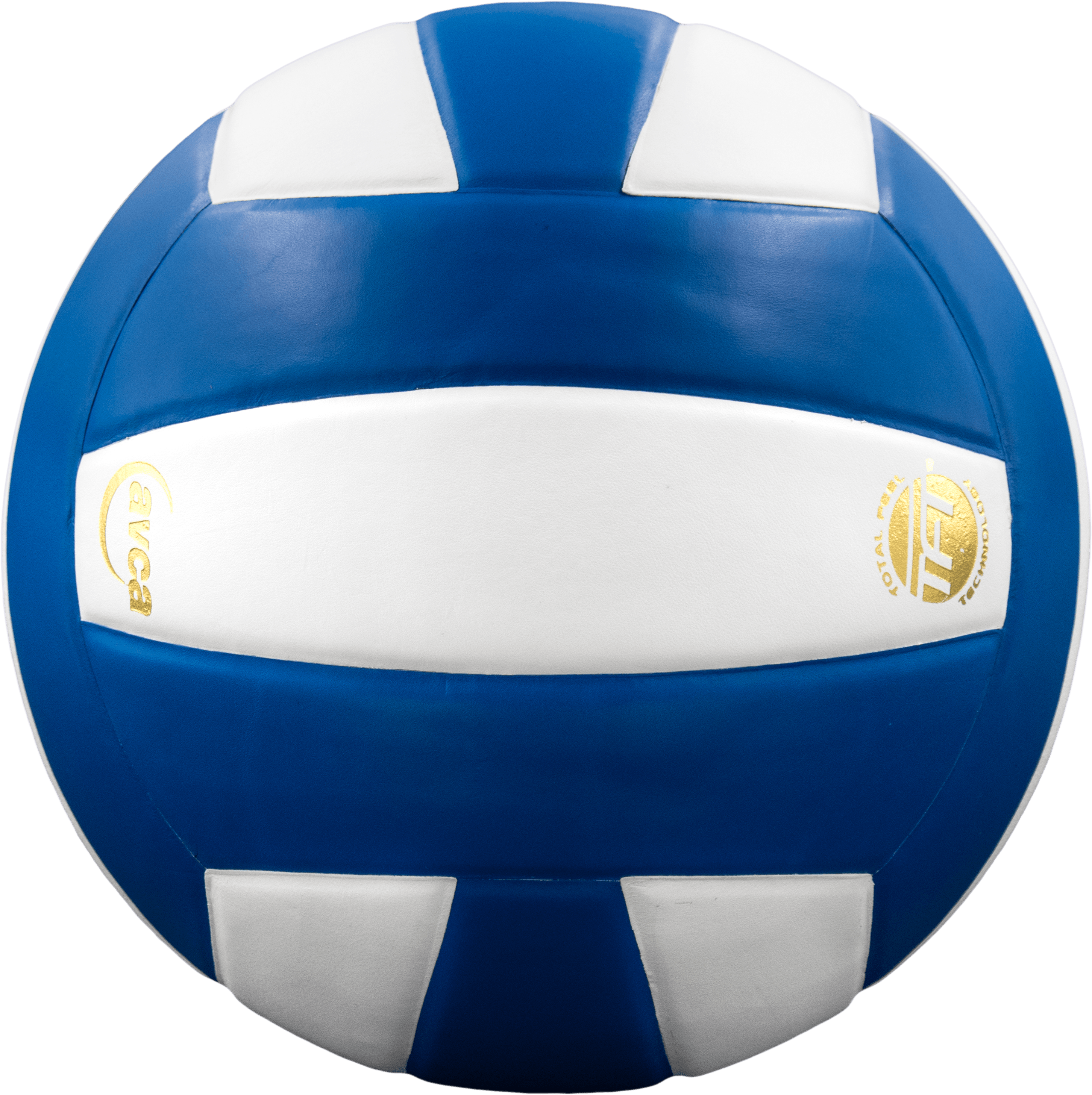 Perfection Leather Volleyball - Maximum Velocity Sports