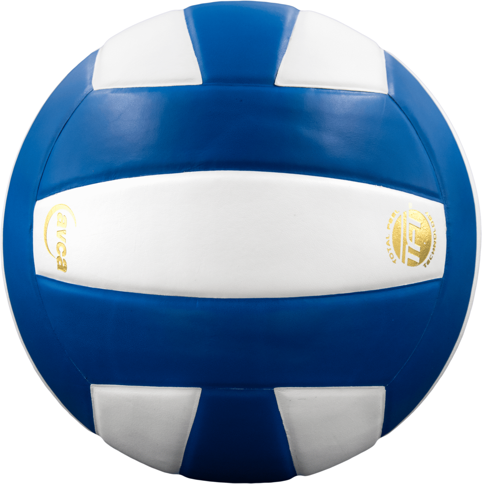 Perfection Leather Volleyball - Maximum Velocity Sports
