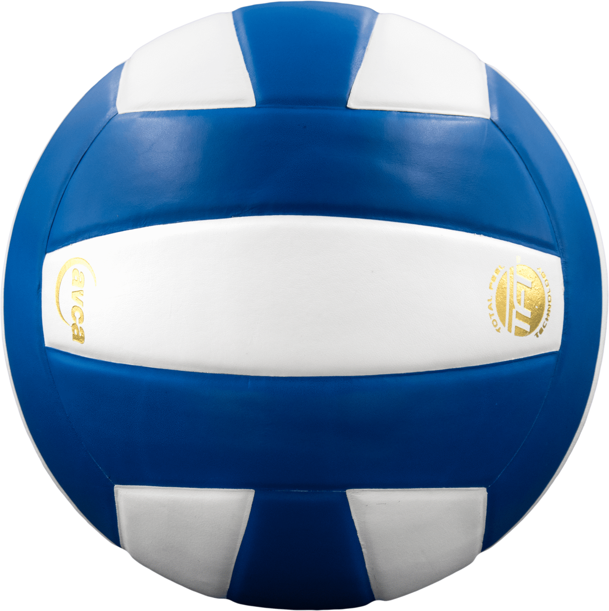 Perfection Leather Volleyball - Maximum Velocity Sports