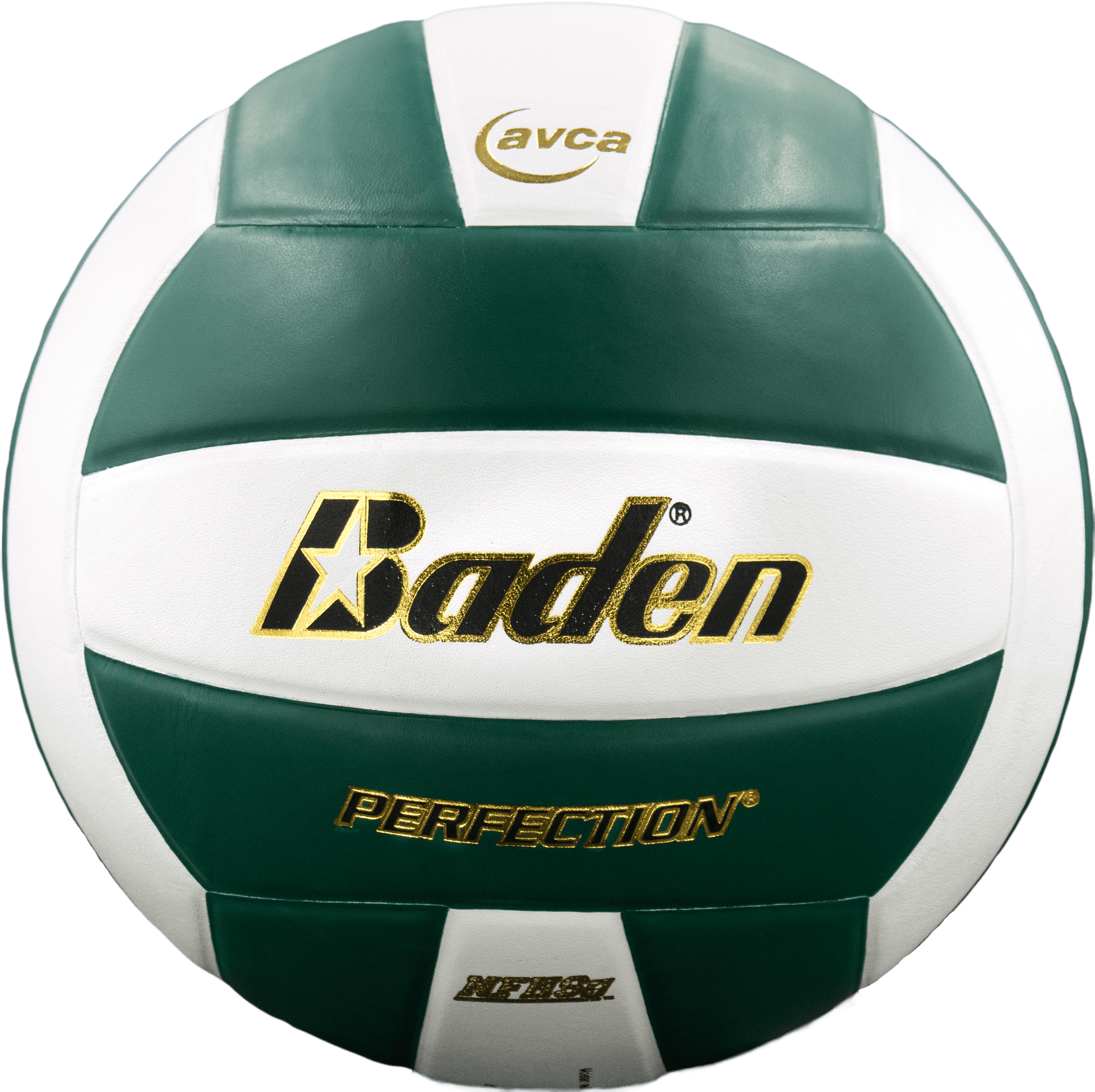 Perfection Leather Volleyball - Maximum Velocity Sports