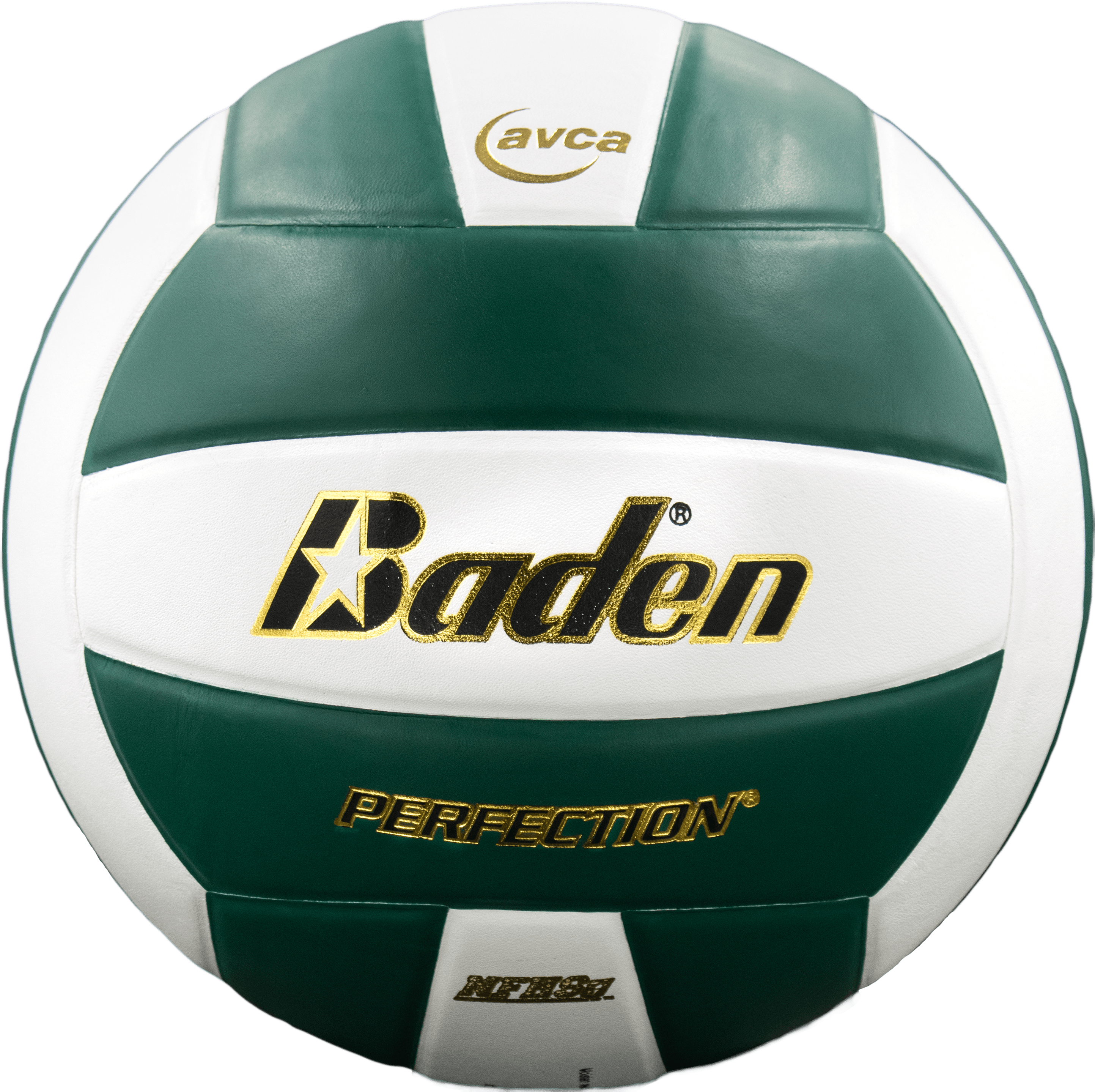 Perfection Leather Volleyball - Maximum Velocity Sports