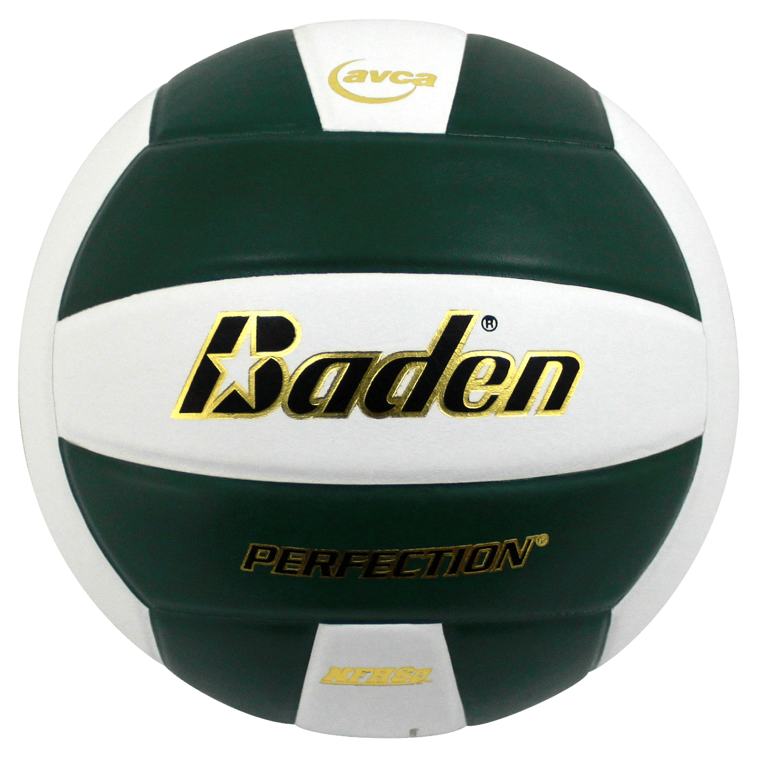 Perfection Leather Volleyball - Maximum Velocity Sports