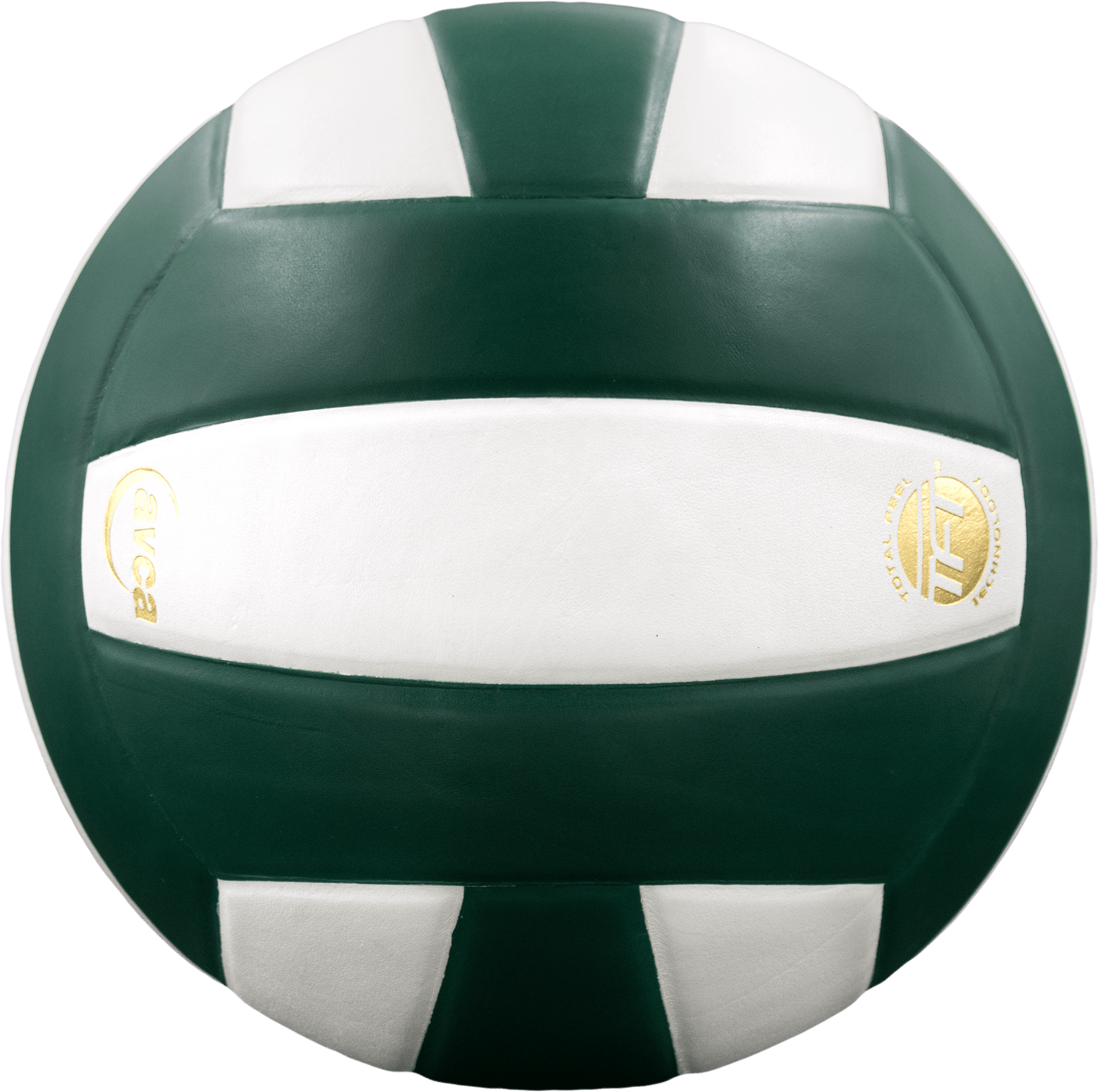 Perfection Leather Volleyball - Maximum Velocity Sports