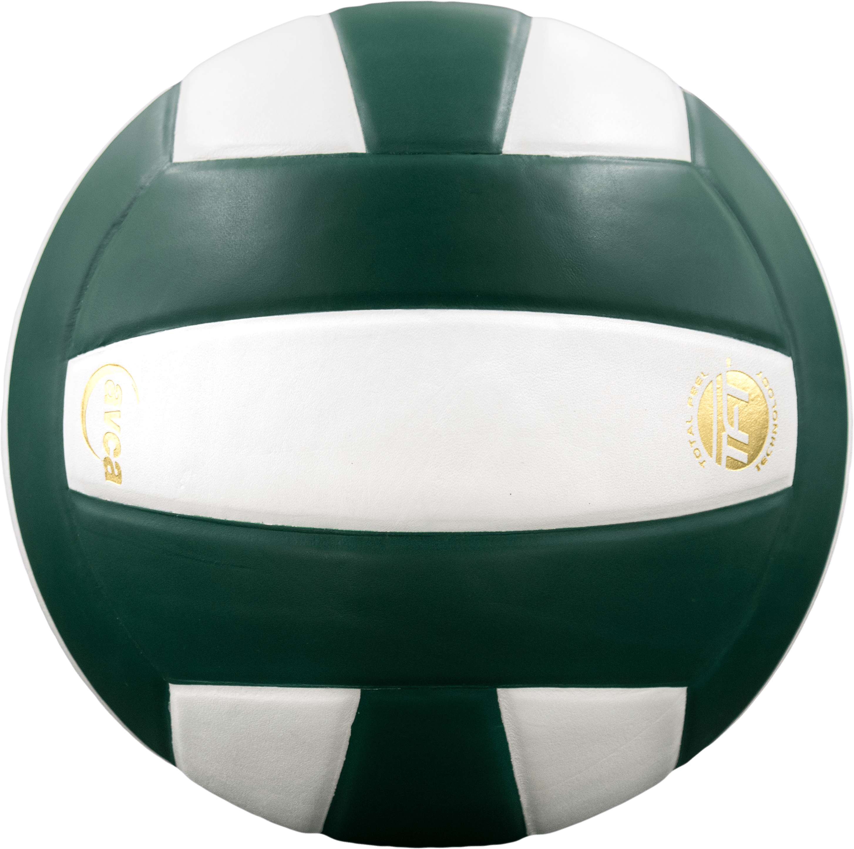 Perfection Leather Volleyball - Maximum Velocity Sports