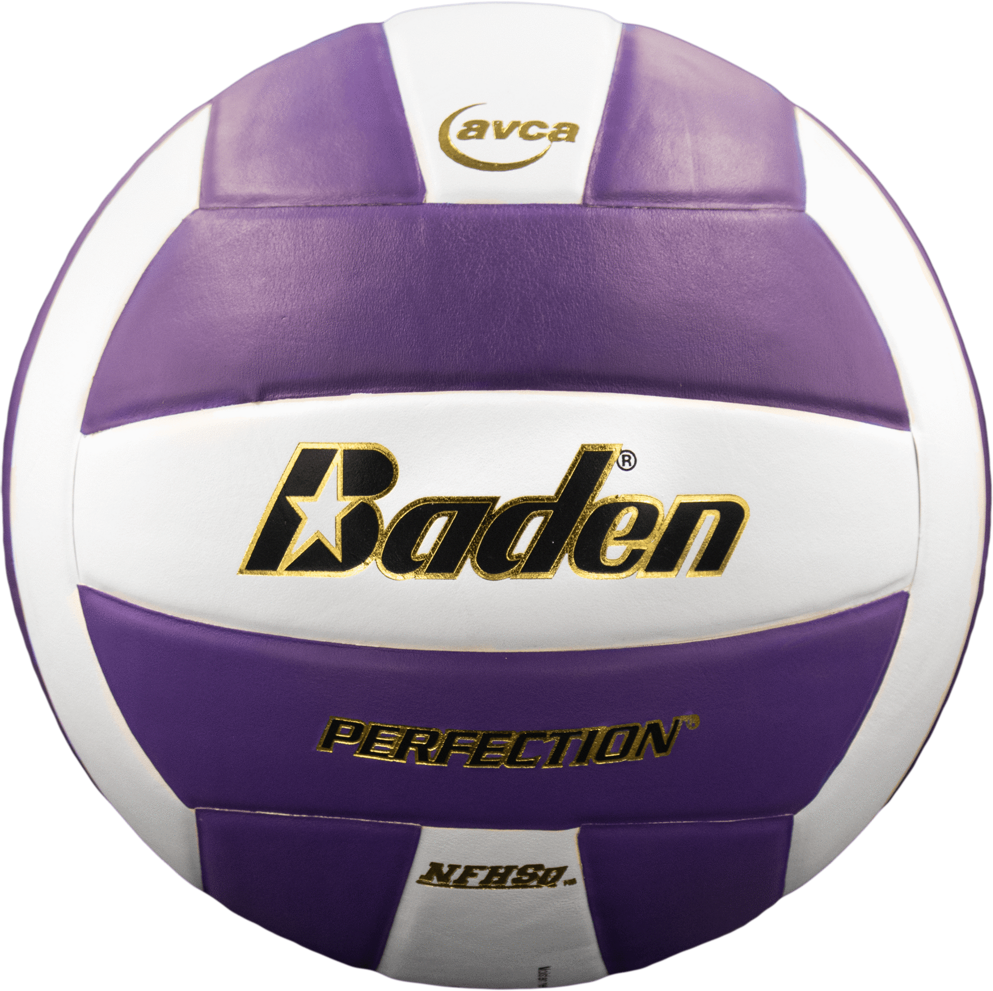 Perfection Leather Volleyball - Maximum Velocity Sports