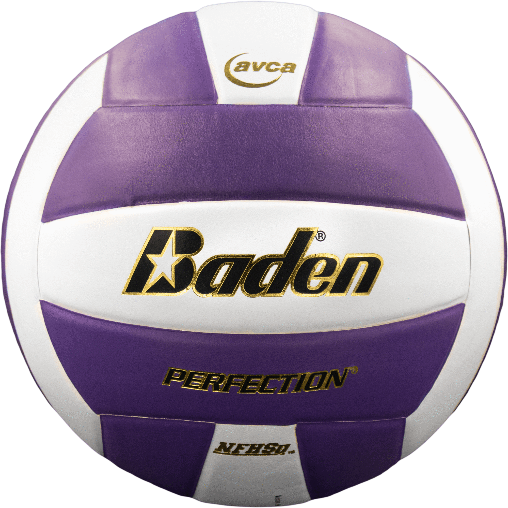 Perfection Leather Volleyball - Maximum Velocity Sports