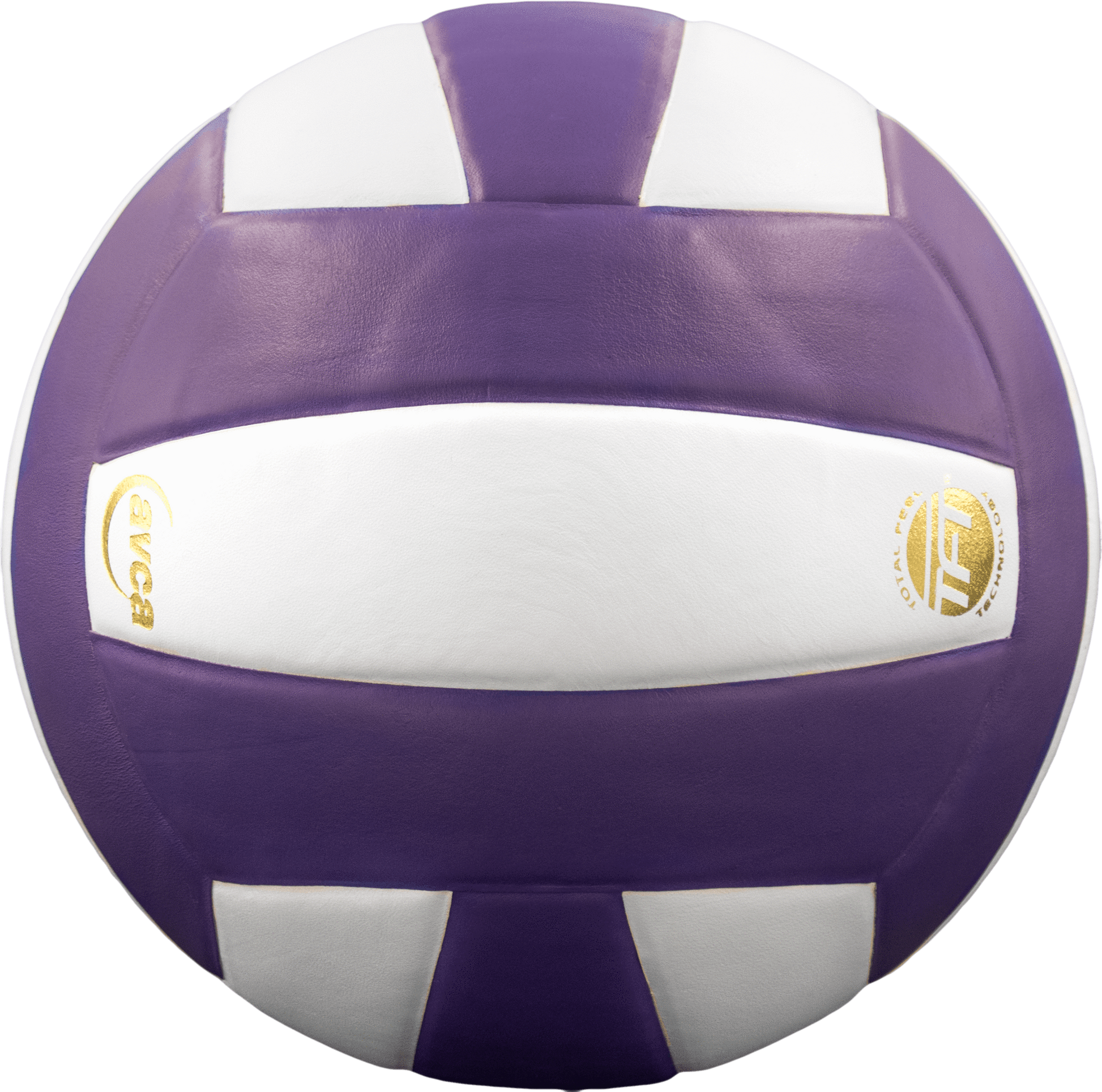 Perfection Leather Volleyball - Maximum Velocity Sports