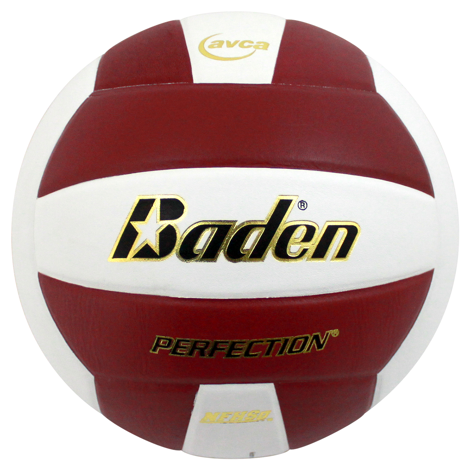 Perfection Leather Volleyball - Maximum Velocity Sports