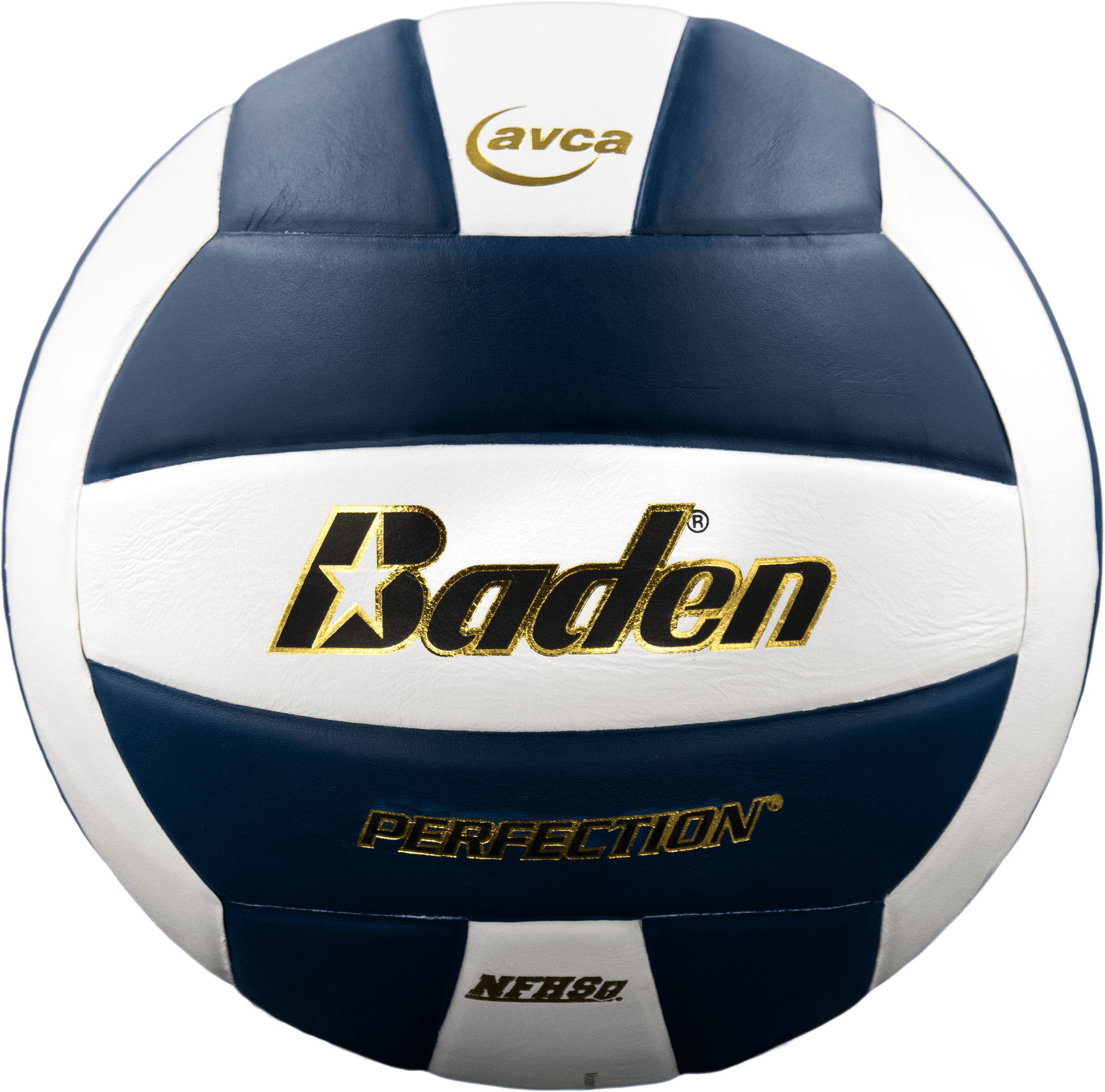 Perfection Leather Volleyball - Maximum Velocity Sports