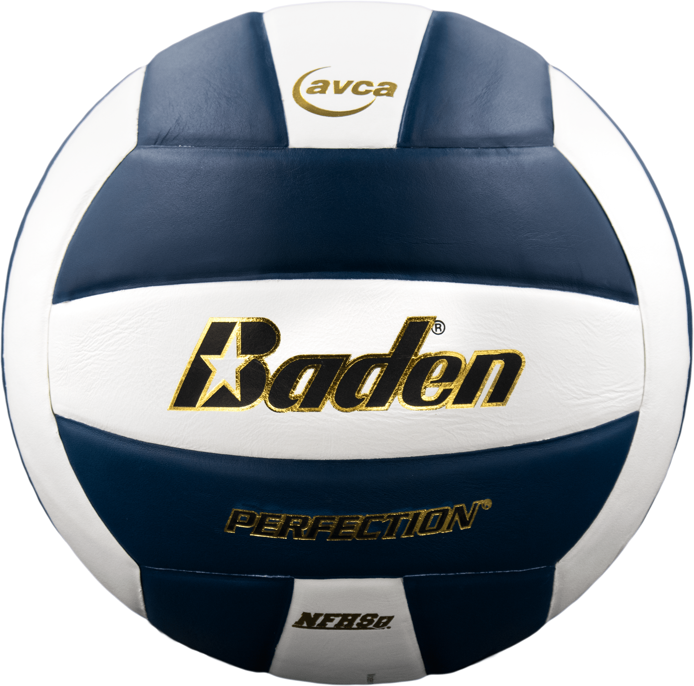 Perfection Leather Volleyball - Maximum Velocity Sports