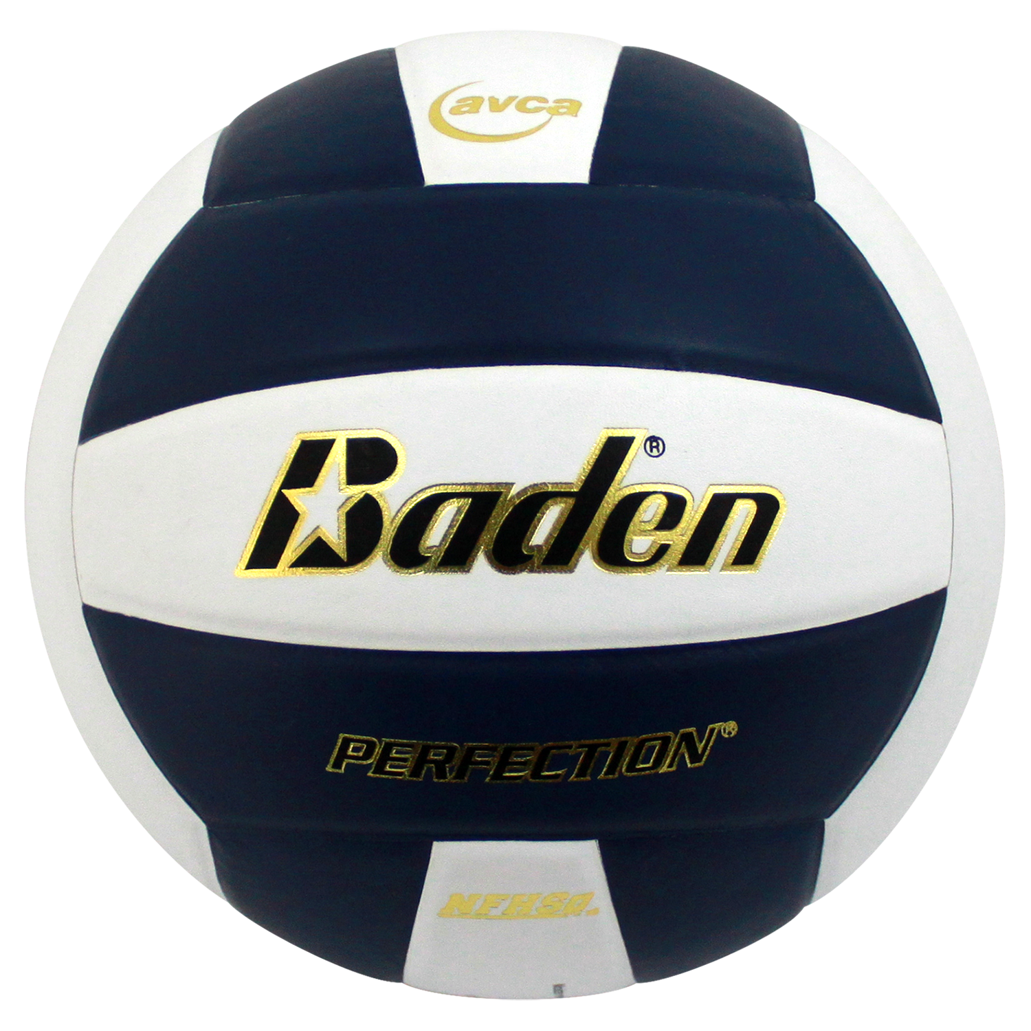 Perfection Leather Volleyball - Maximum Velocity Sports