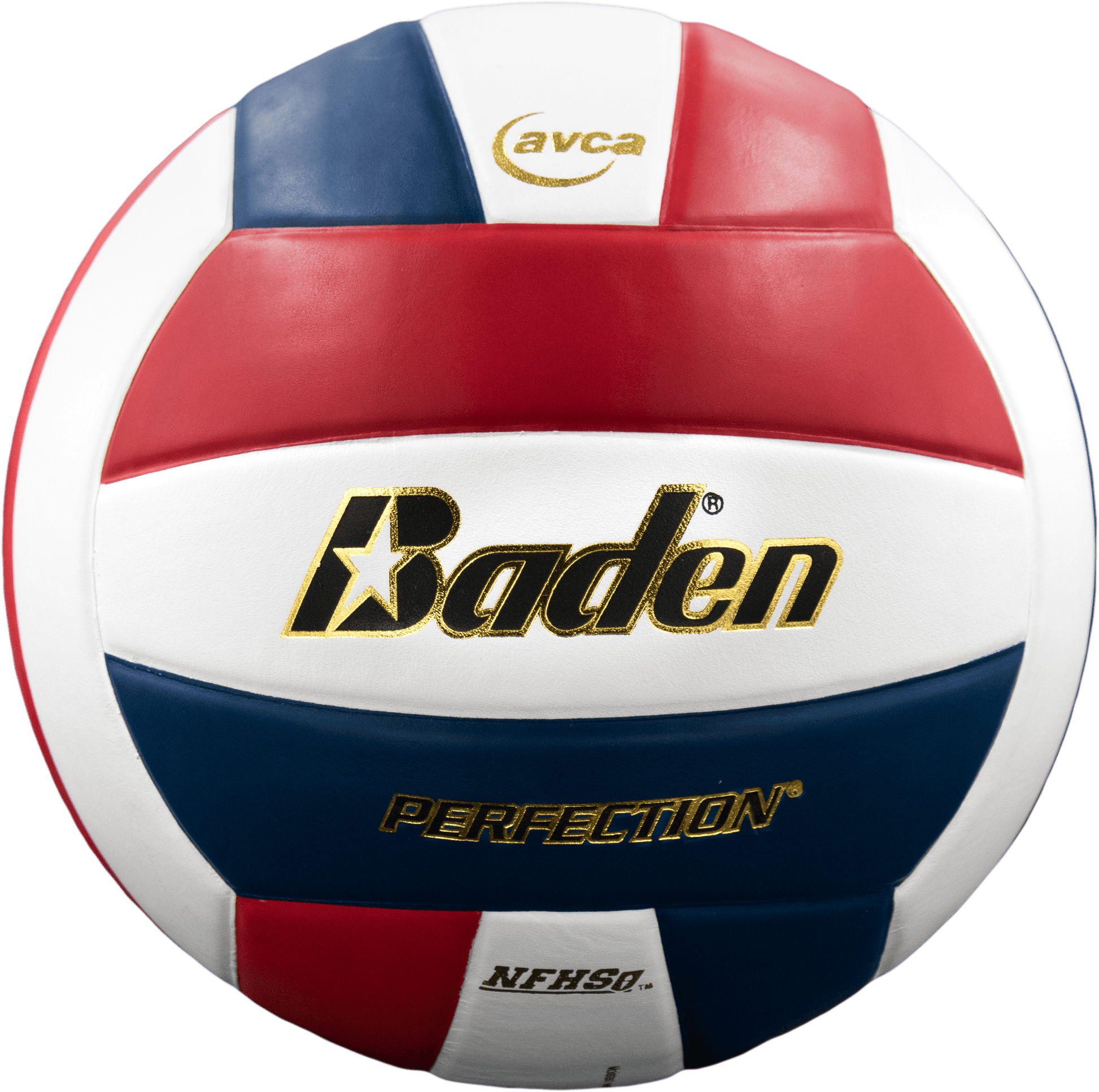 Perfection Leather Volleyball - Maximum Velocity Sports