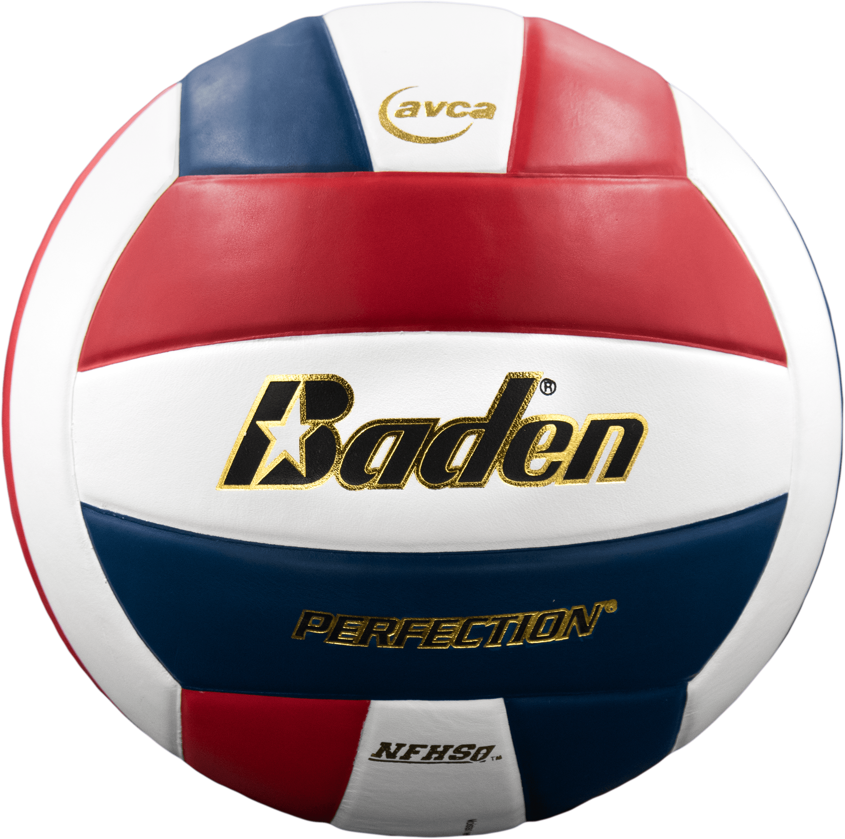Perfection Leather Volleyball - Maximum Velocity Sports