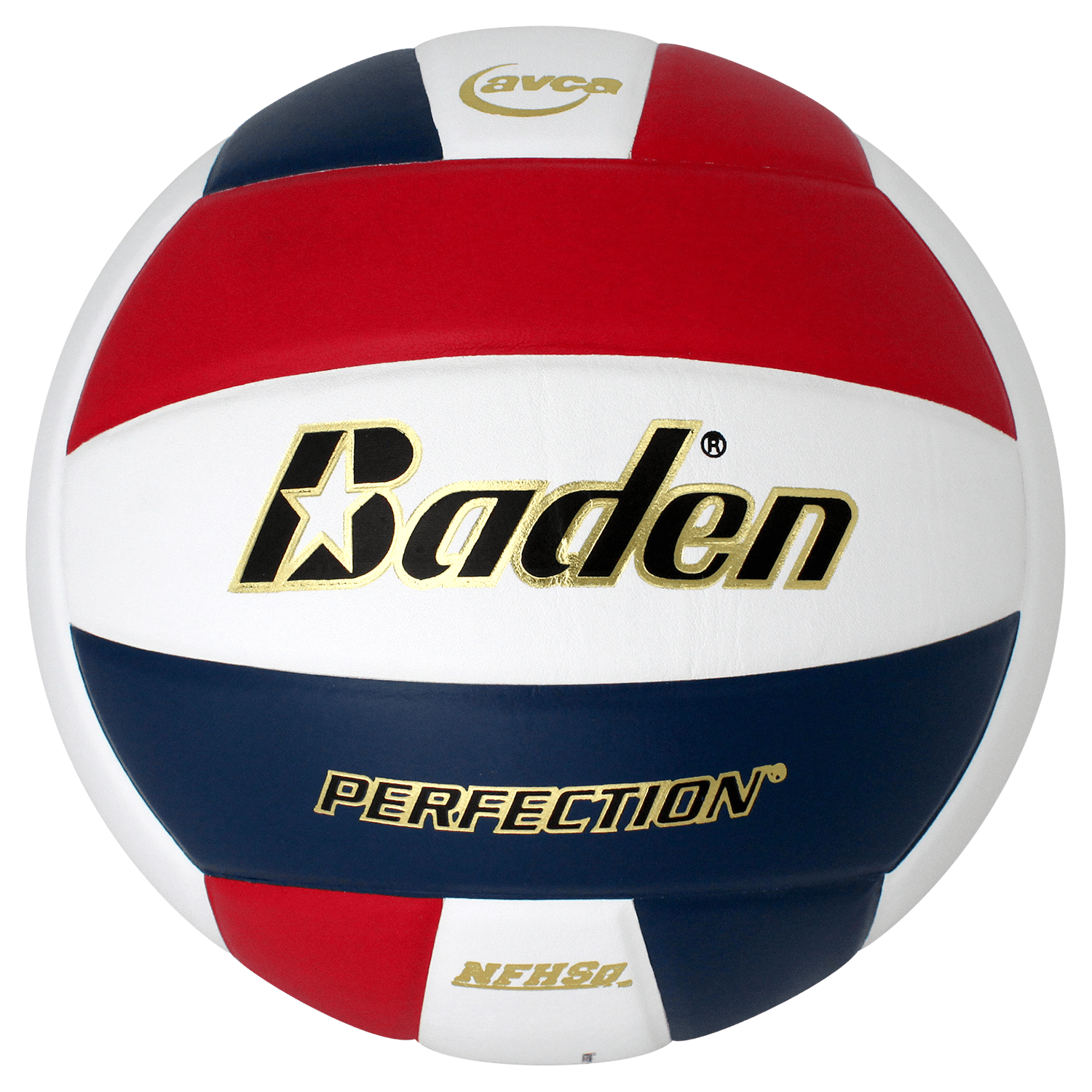 Perfection Leather Volleyball - Maximum Velocity Sports
