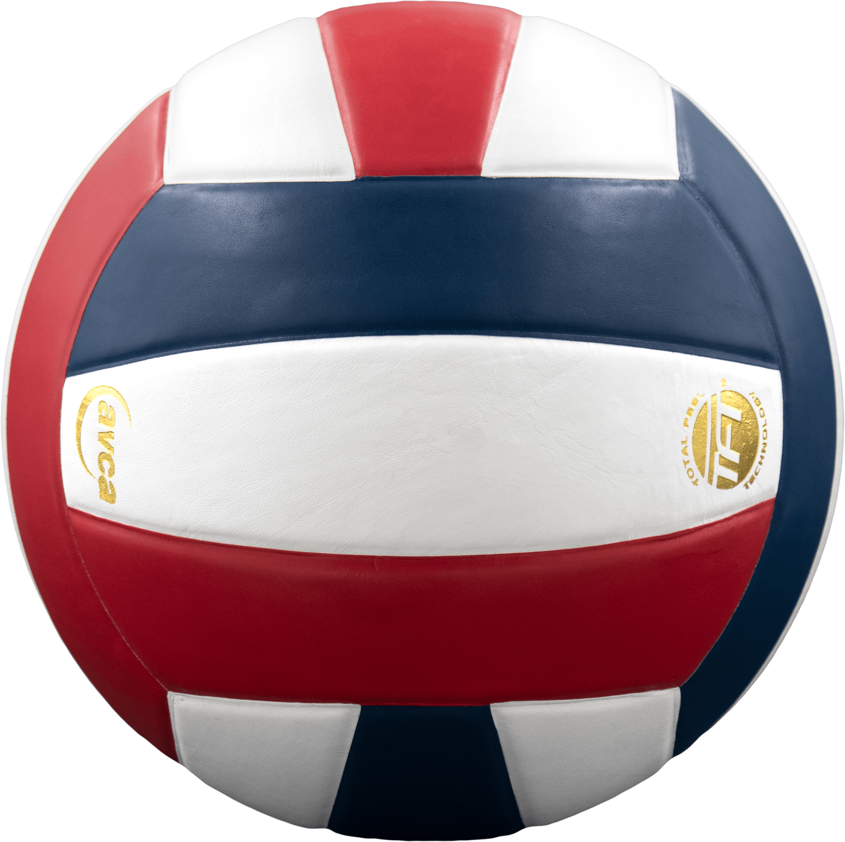 Perfection Leather Volleyball - Maximum Velocity Sports