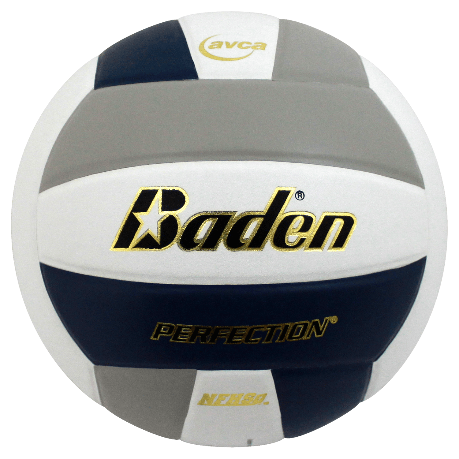 Perfection Leather Volleyball - Maximum Velocity Sports