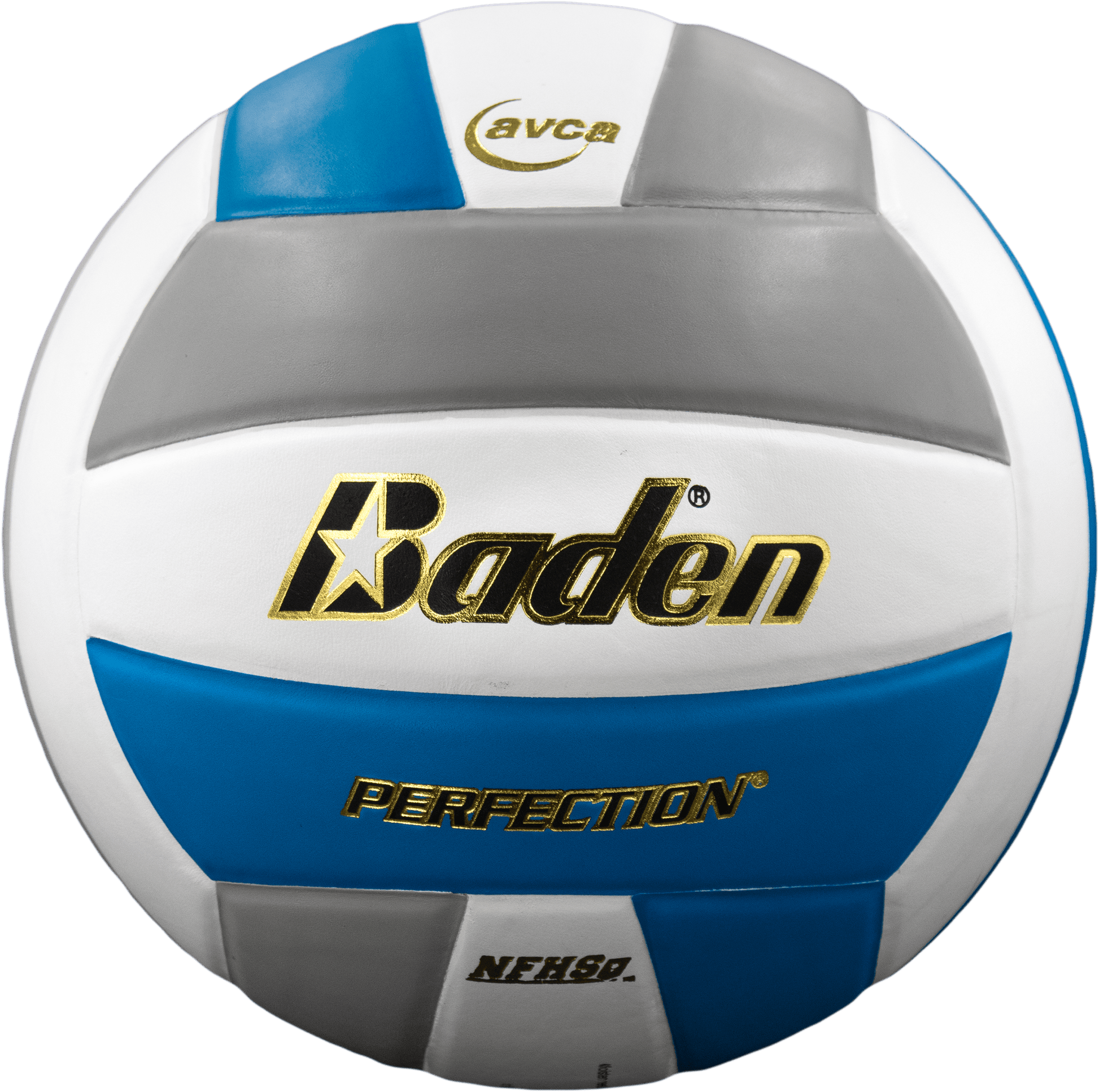 Perfection Leather Volleyball - Maximum Velocity Sports
