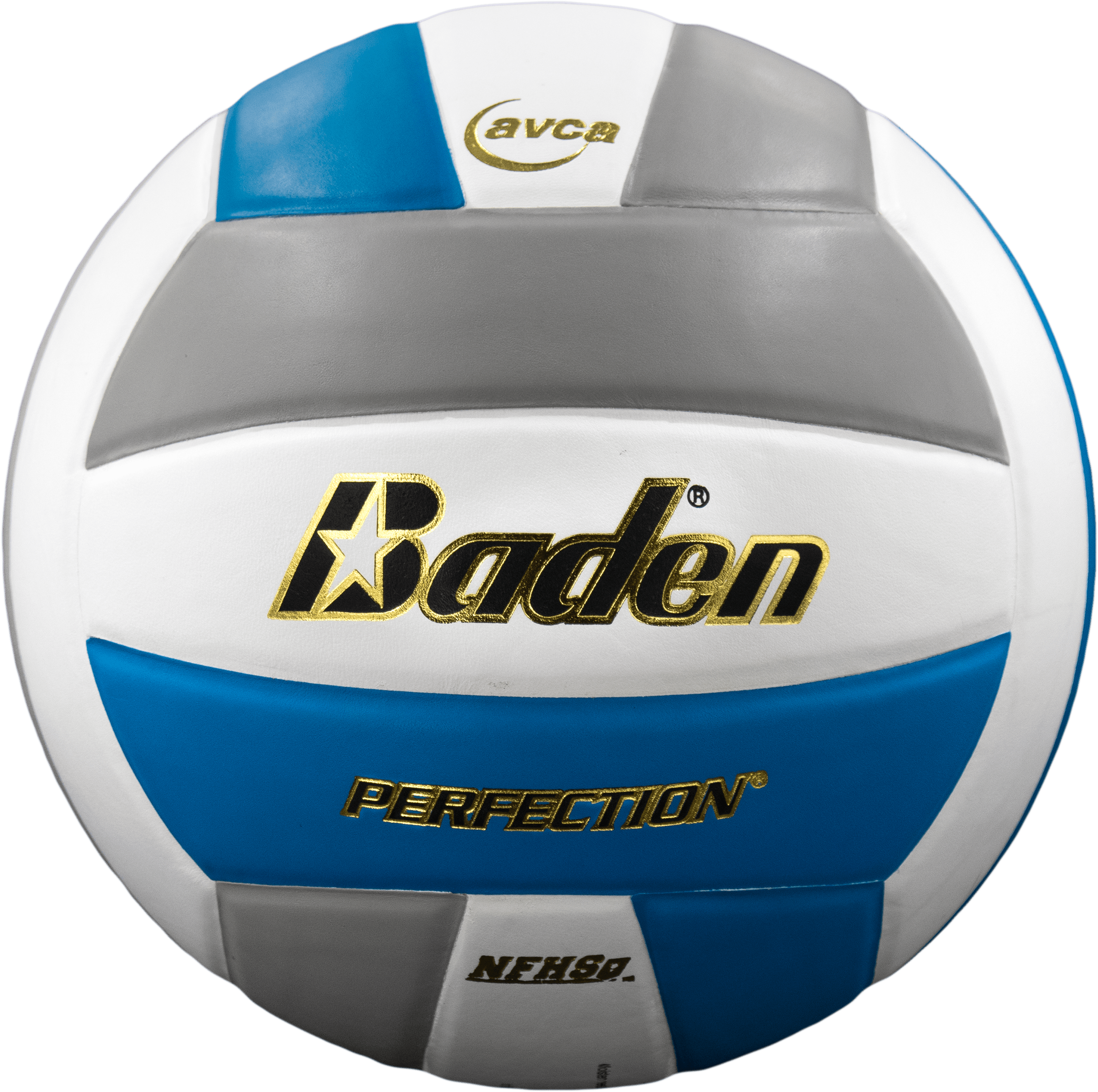 Perfection Leather Volleyball - Maximum Velocity Sports