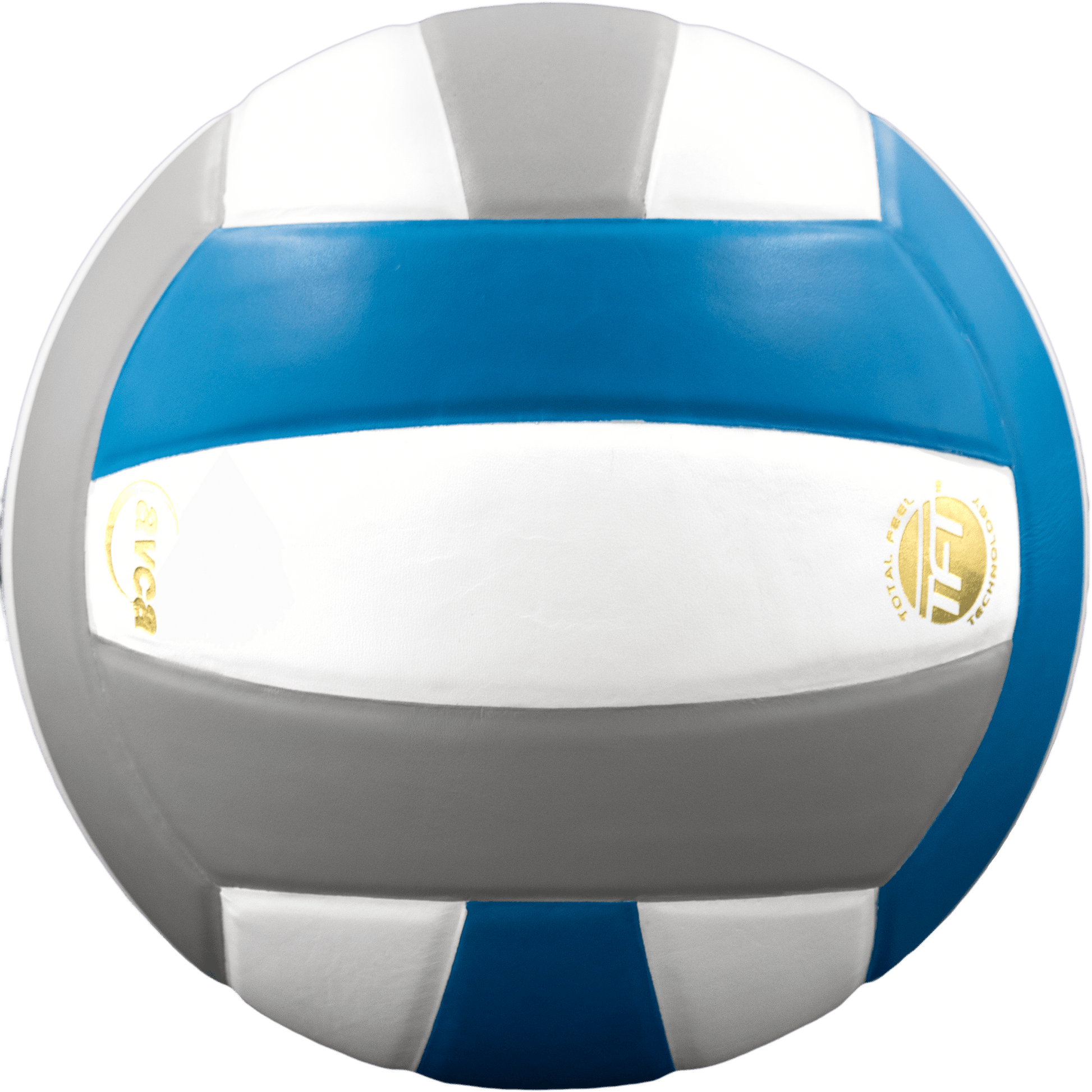 Perfection Leather Volleyball - Maximum Velocity Sports