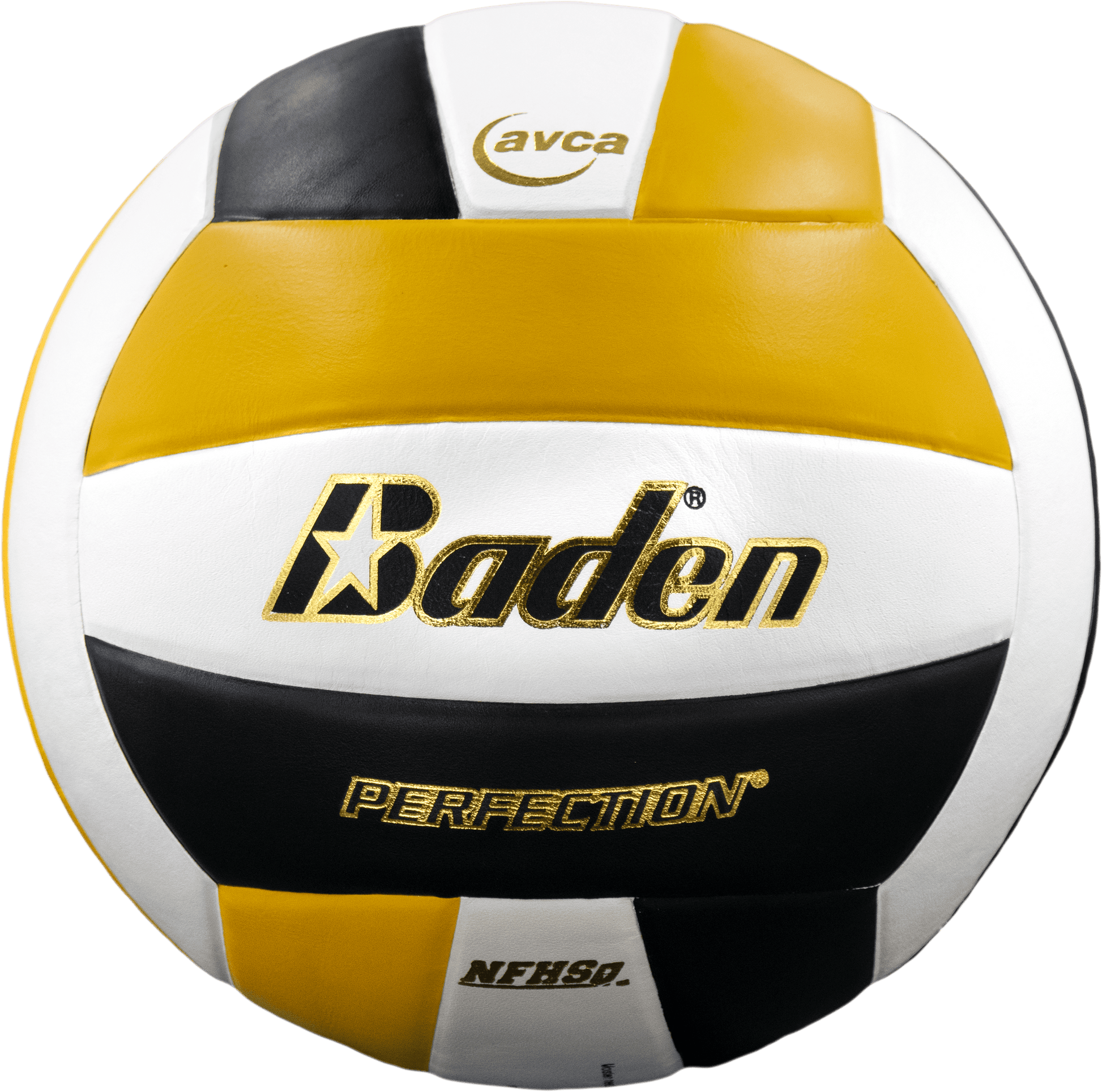 Perfection Leather Volleyball - Maximum Velocity Sports