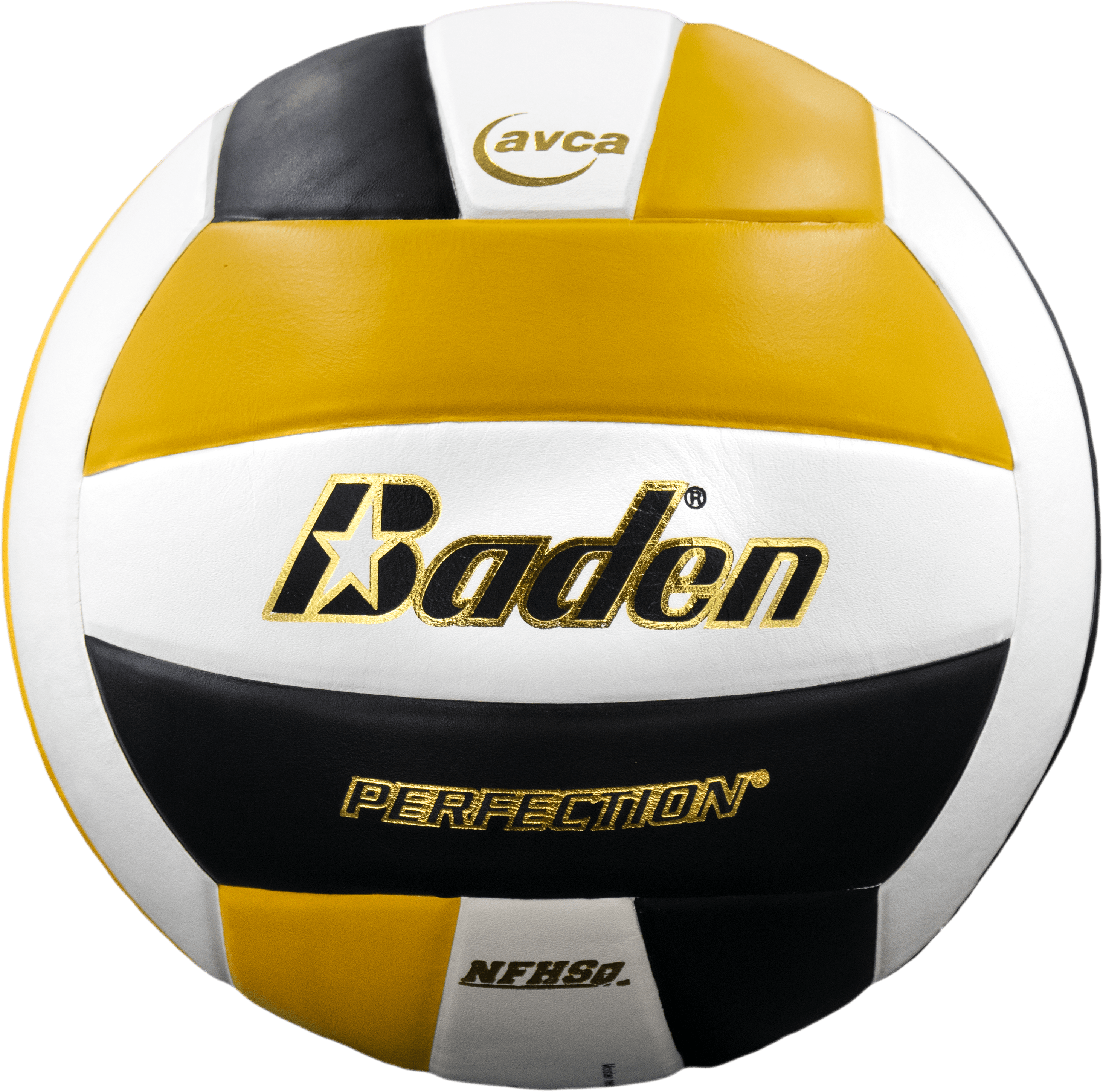 Perfection Leather Volleyball - Maximum Velocity Sports