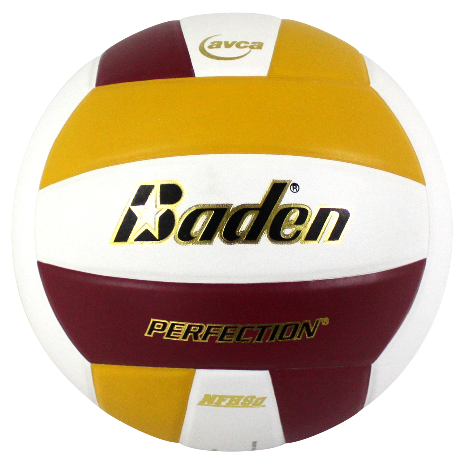 Perfection Leather Volleyball - Maximum Velocity Sports