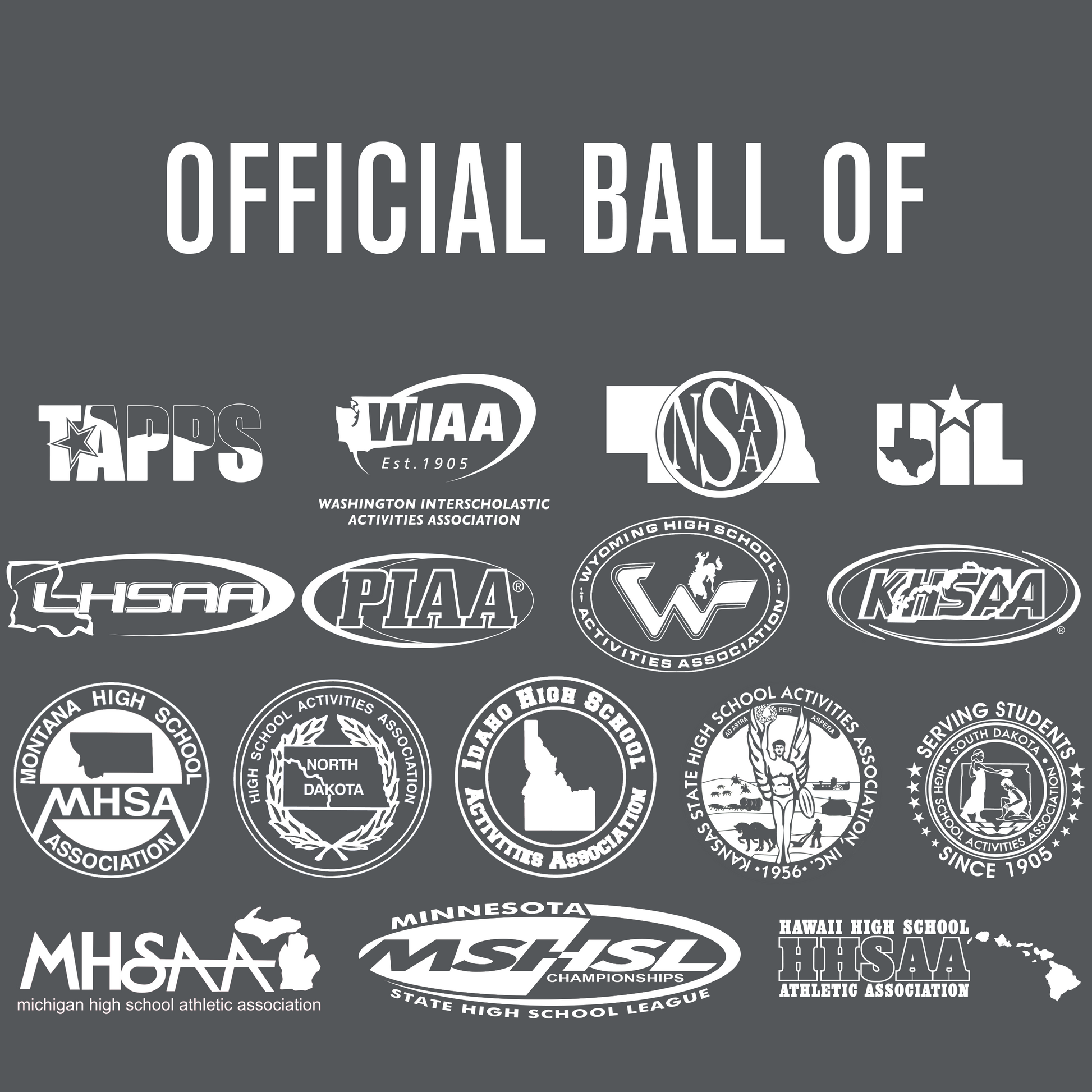 Perfection Leather Volleyball - Maximum Velocity Sports