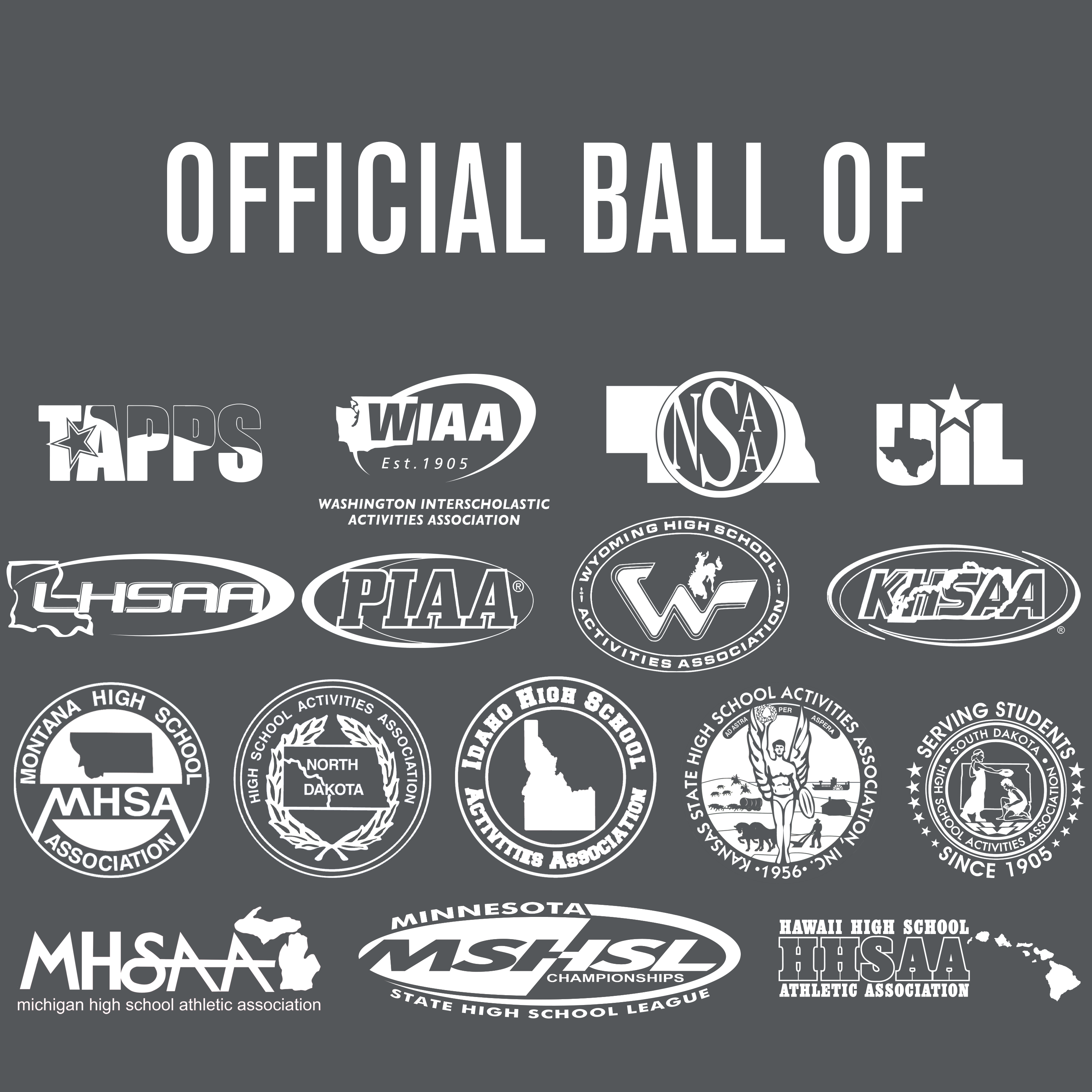 Perfection Leather Volleyball - Maximum Velocity Sports