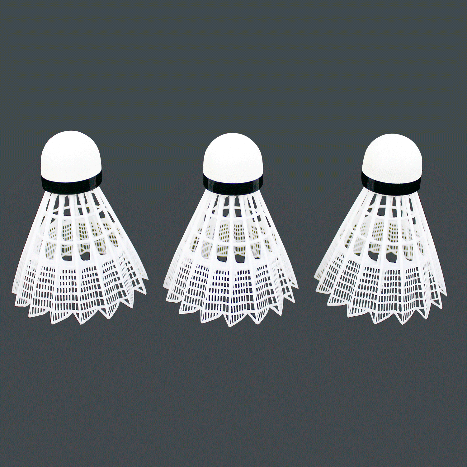 Champions Badminton Set - Maximum Velocity Sports