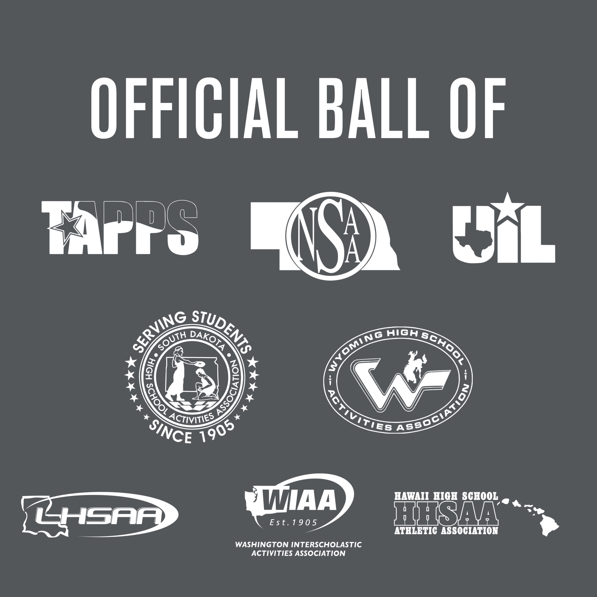 Perfection Game Softballs - 1 Dozen - Maximum Velocity Sports