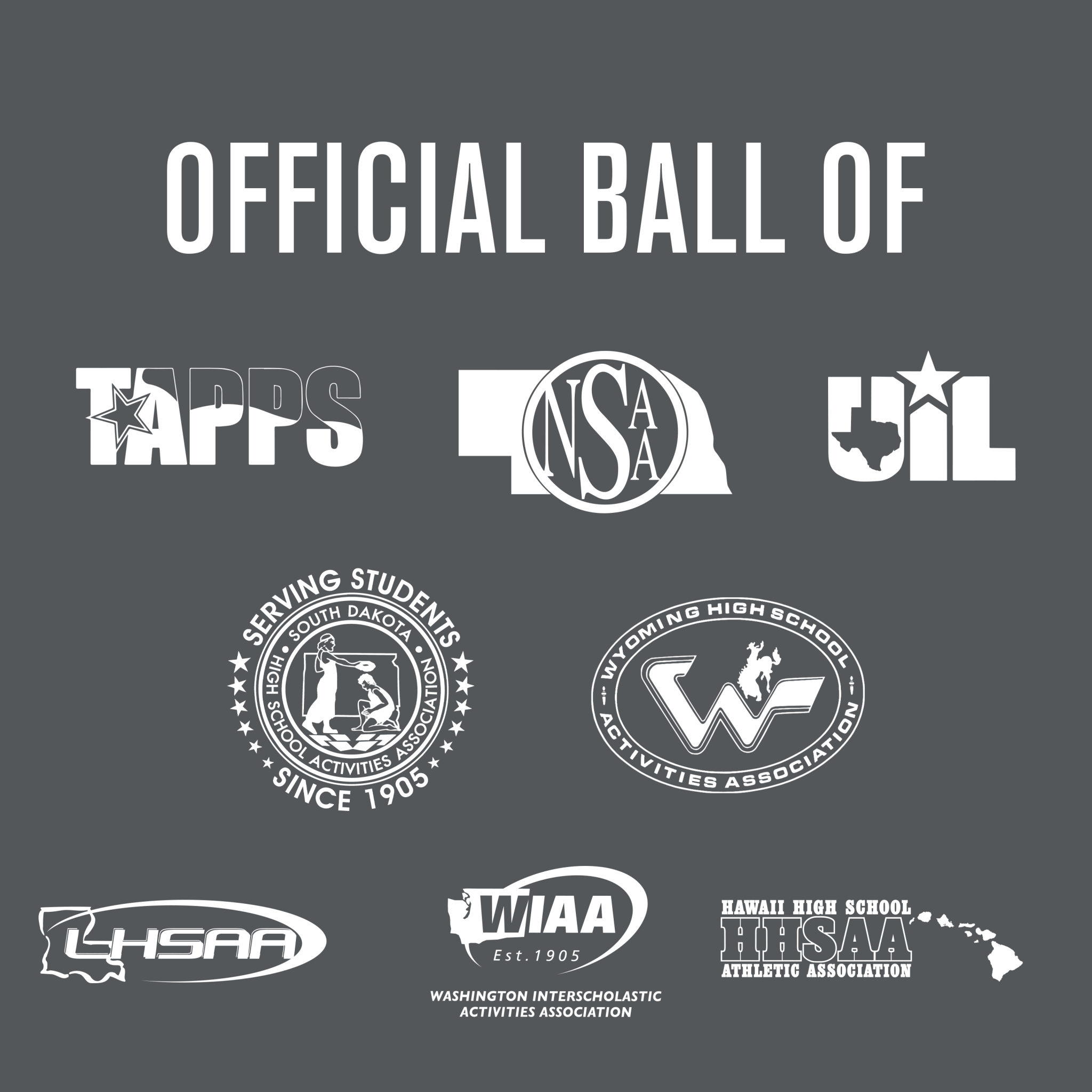 Perfection Game Softballs - 1 Dozen - Maximum Velocity Sports