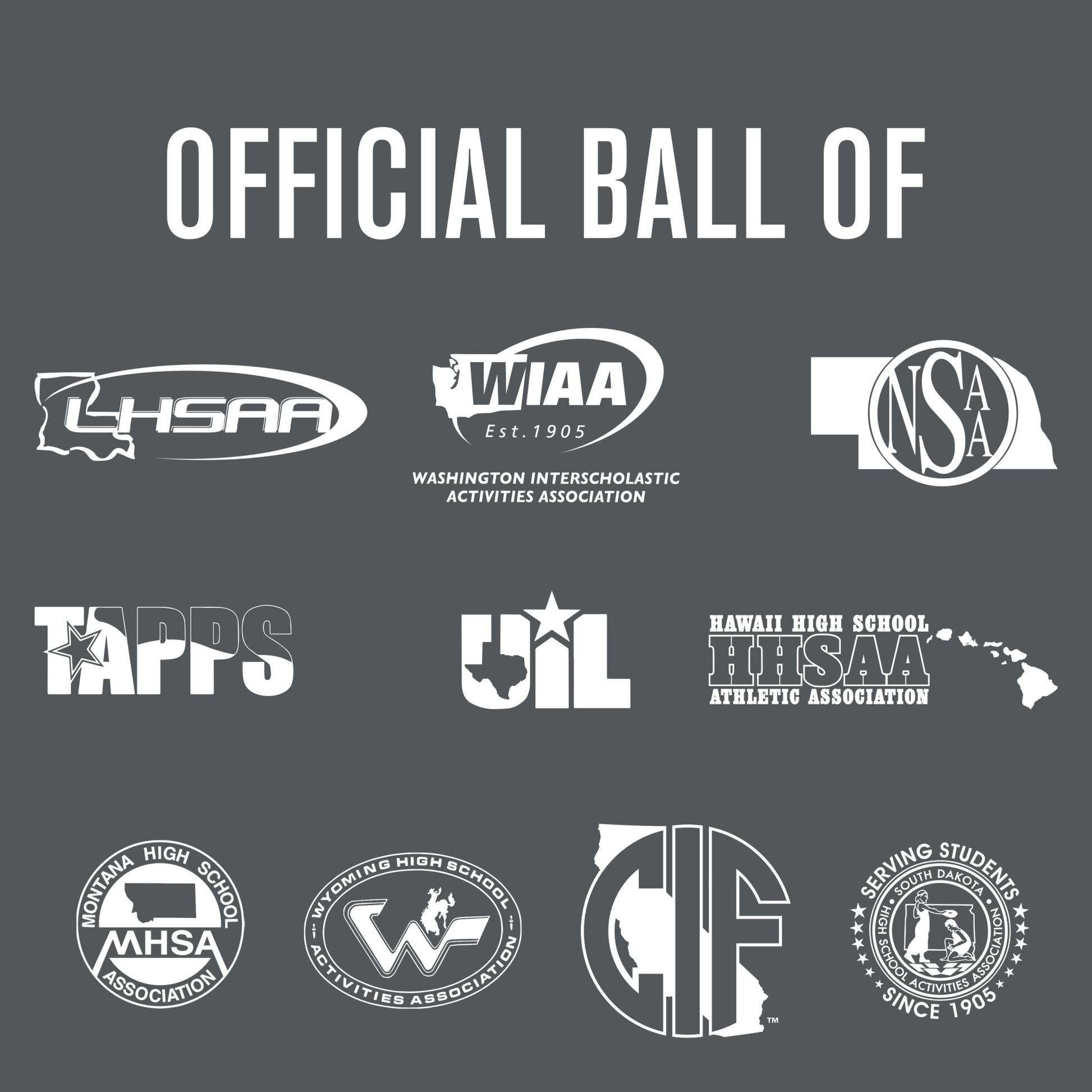 Perfection Thermo Soccer Ball - Maximum Velocity Sports