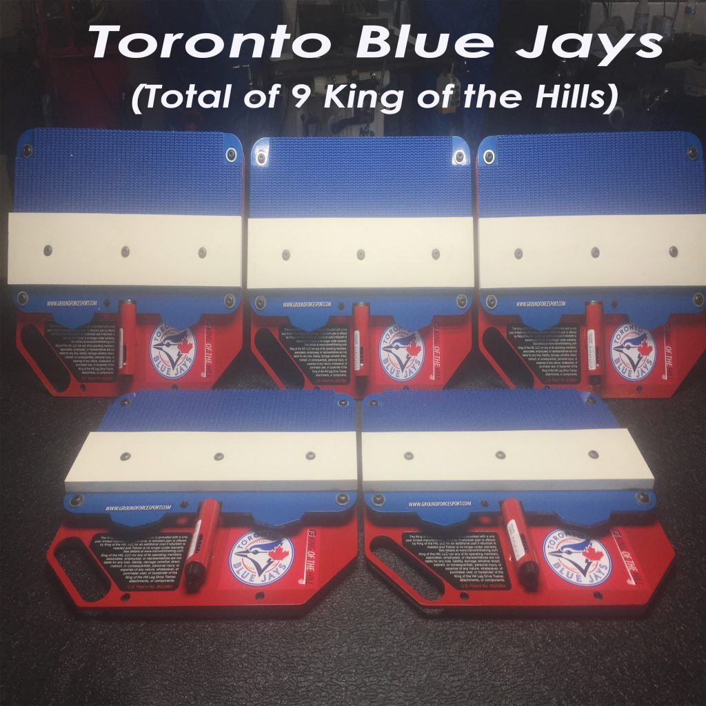 King of the Hill Pitching Trainer - MLB & D1's #1 Training Device - Maximum Velocity Sports