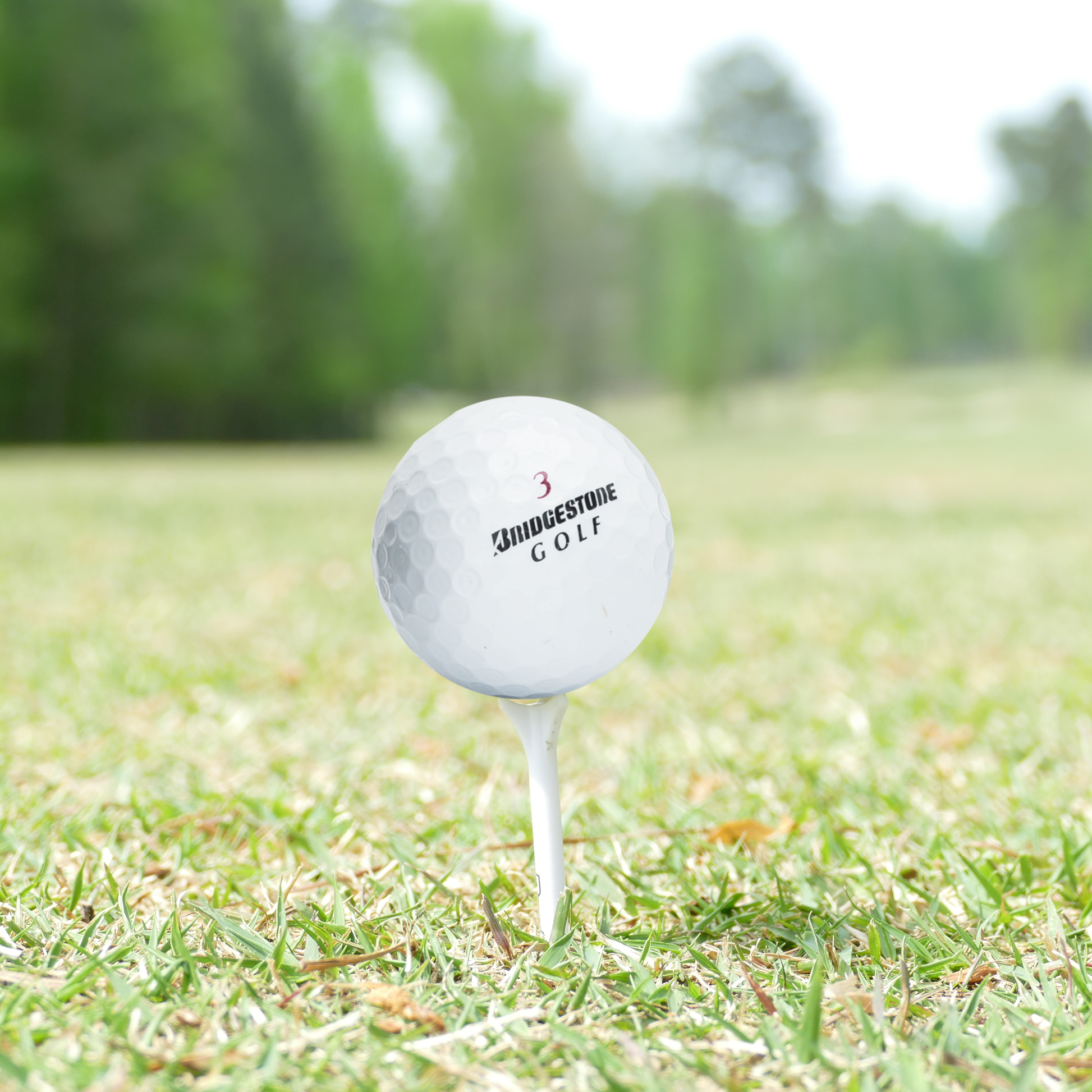 Used Bridgestone e6 Mix - 1 Dozen - Maximum Velocity Sports