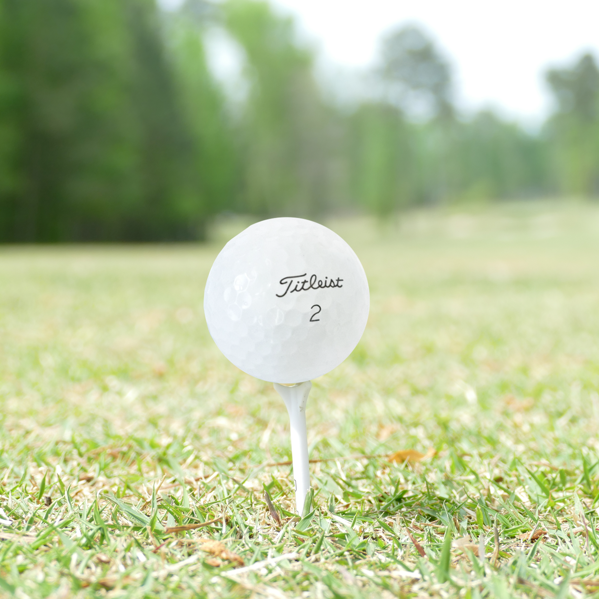 Used Titleist 2023 Pro V1 Golf Balls - 1 Dozen - Maximum Velocity Sports