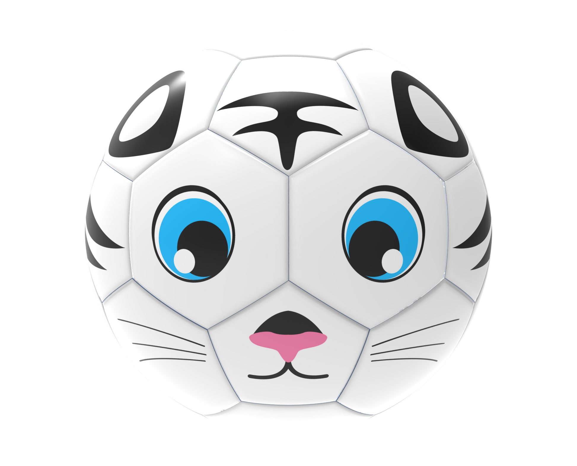 Fun Recreational soccer ball - Maximum Velocity Sports