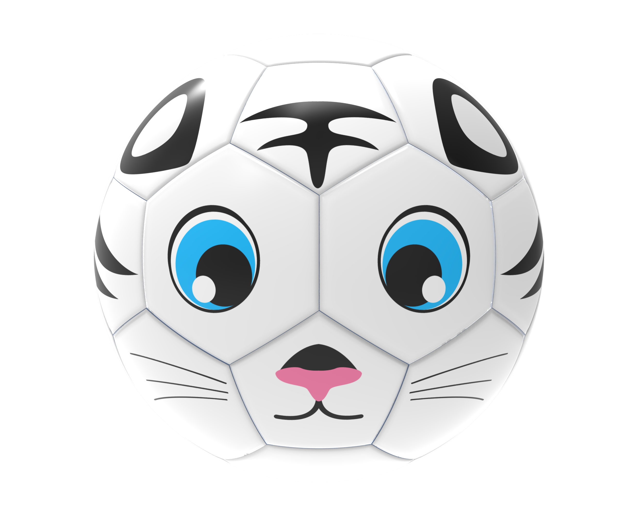 Fun Recreational soccer ball - Maximum Velocity Sports