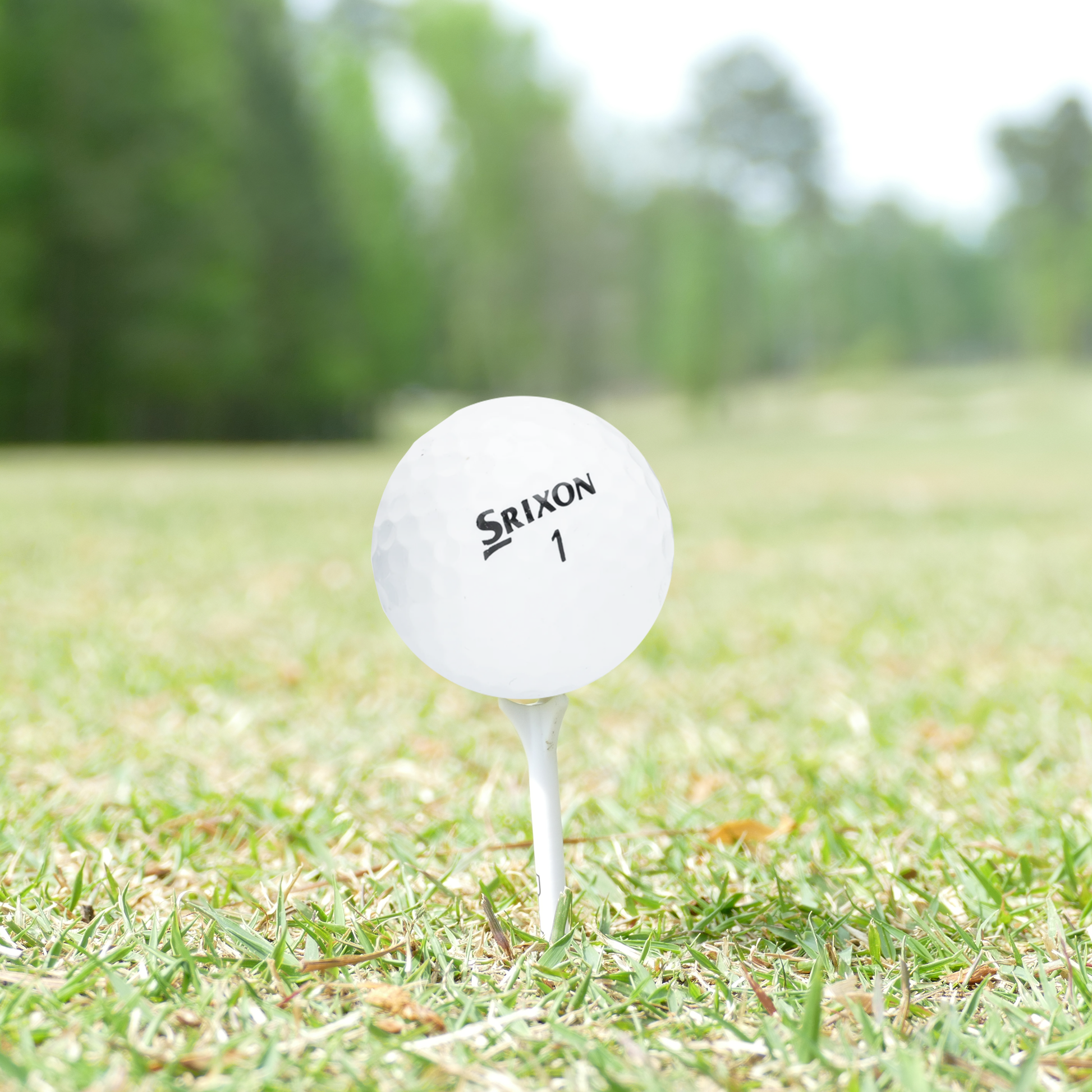 Used Srixon Q-Star Golf Balls - 1 Dozen - Maximum Velocity Sports