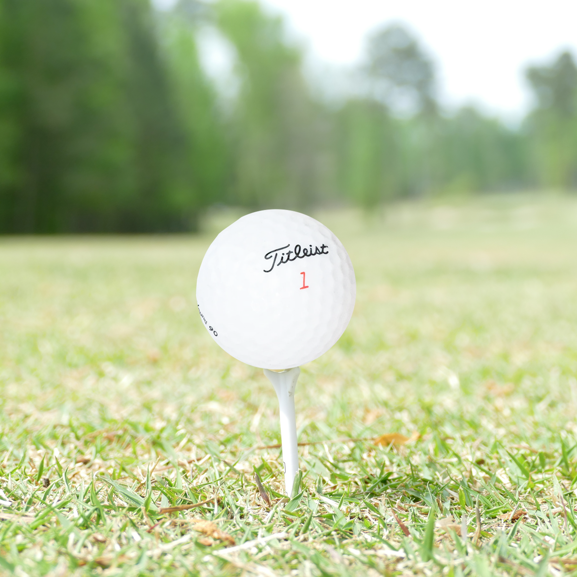Used Titleist Mix Golf Balls - 1 Dozen - Maximum Velocity Sports