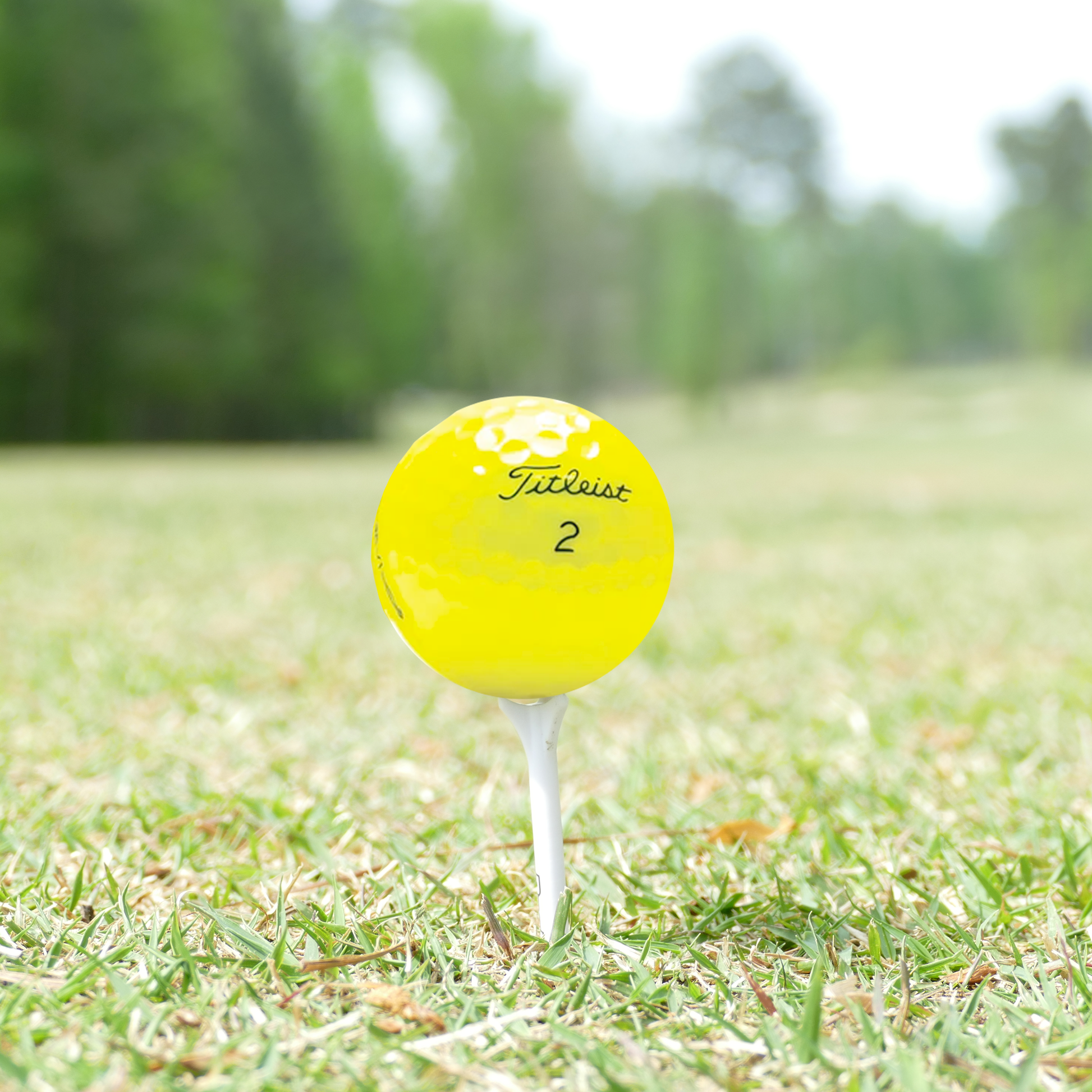 Used Titleist Pro V1 Yellow Mix Golf Balls - 1 Dozen - Maximum Velocity Sports