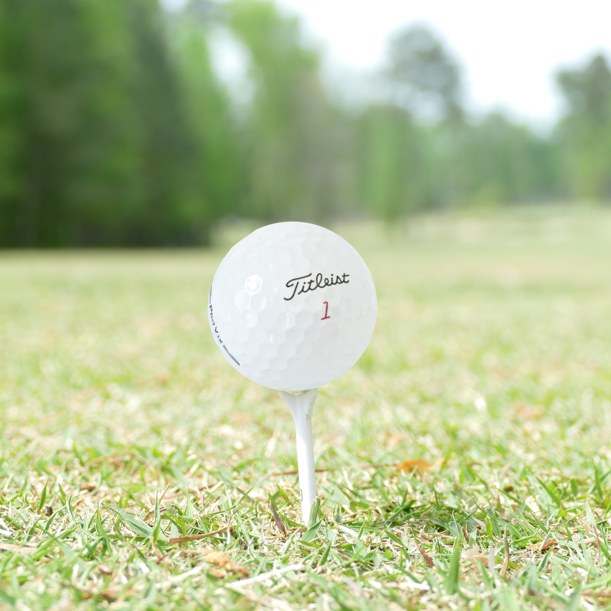 Used Titleist 2025 Pro V1x Golf Balls - 1 Dozen - Maximum Velocity Sports