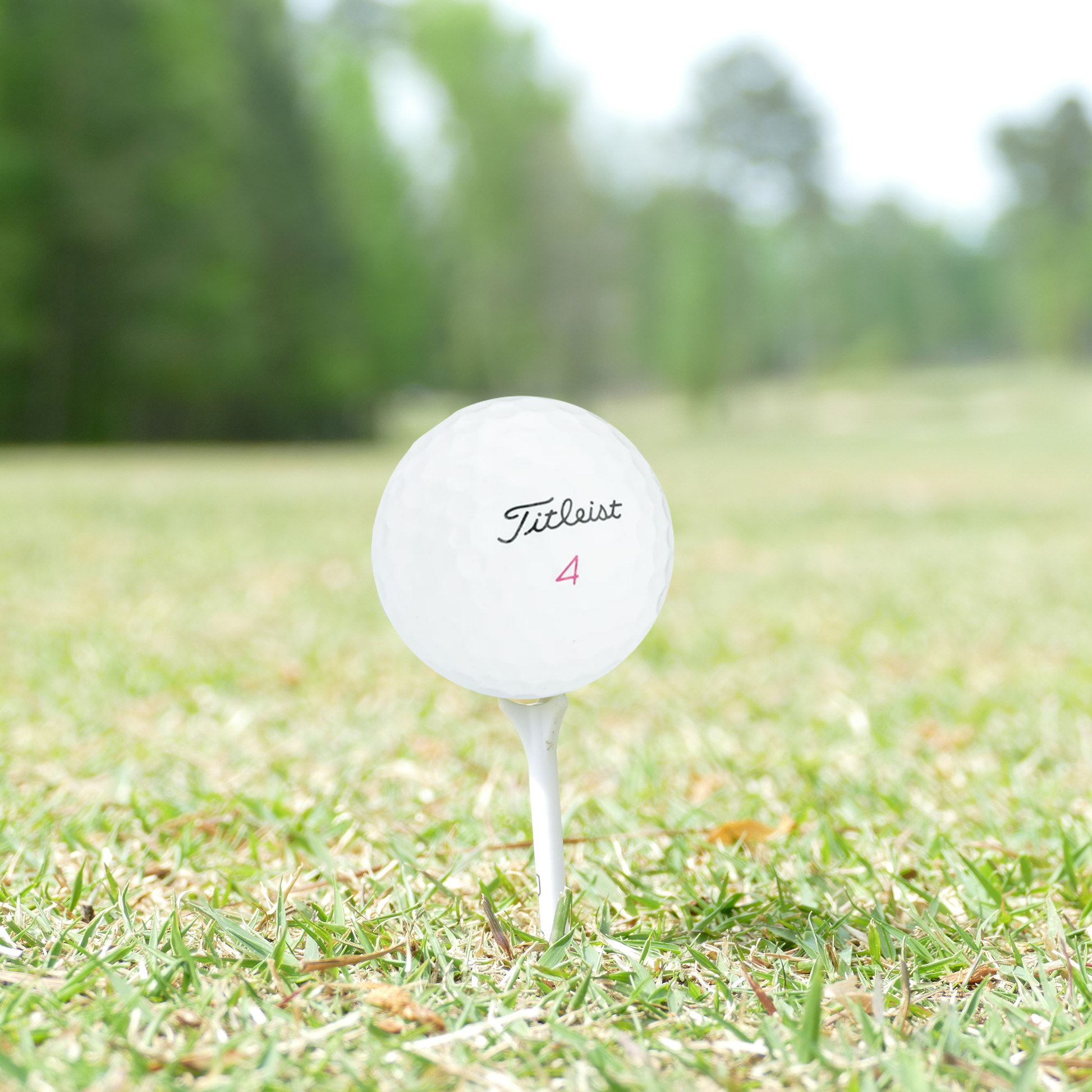 Used Titleist Pro V1x Mix Golf Balls - 1 Dozen - Maximum Velocity Sports