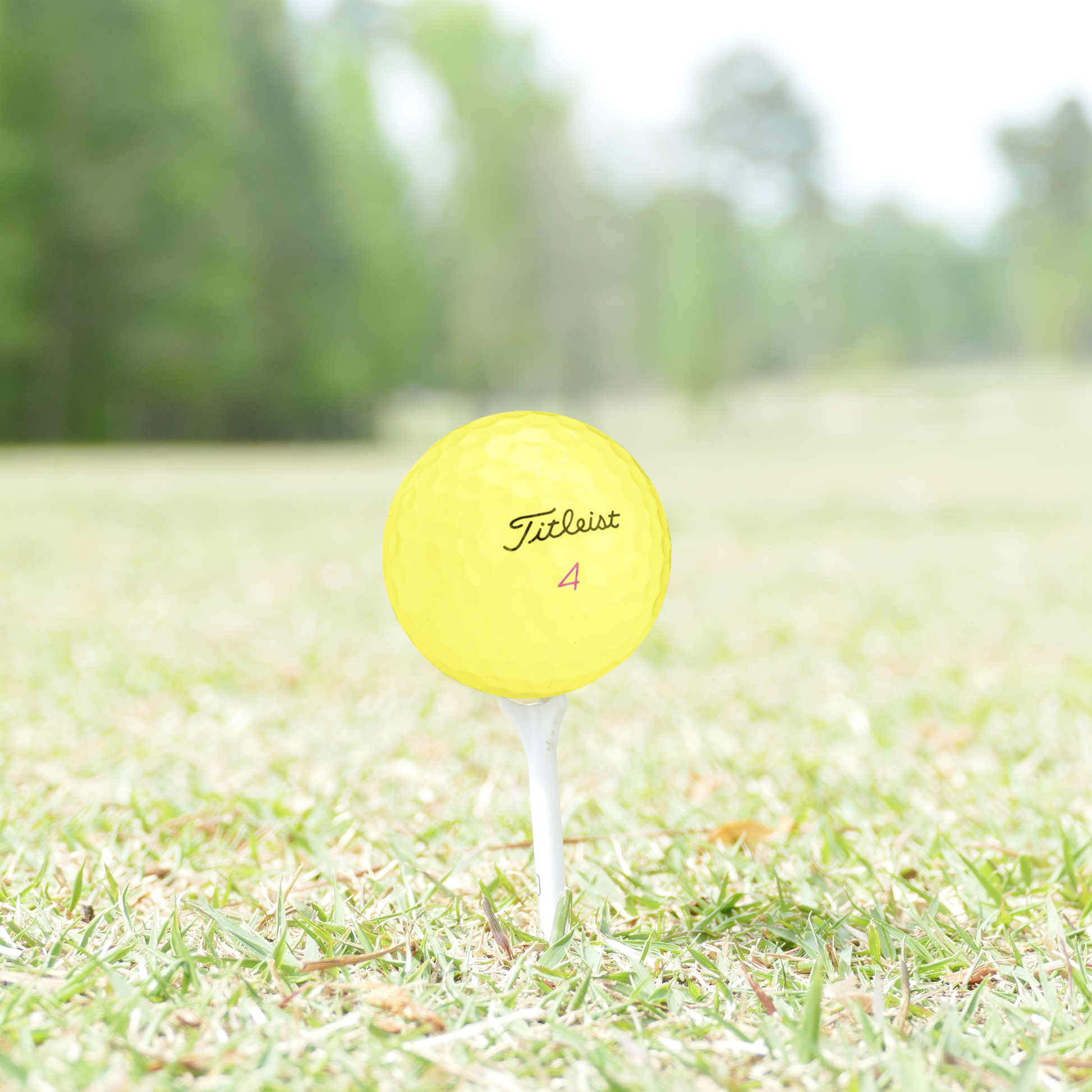 Used Titleist Pro V1x Yellow Mix Golf Balls - 1 Dozen - Maximum Velocity Sports