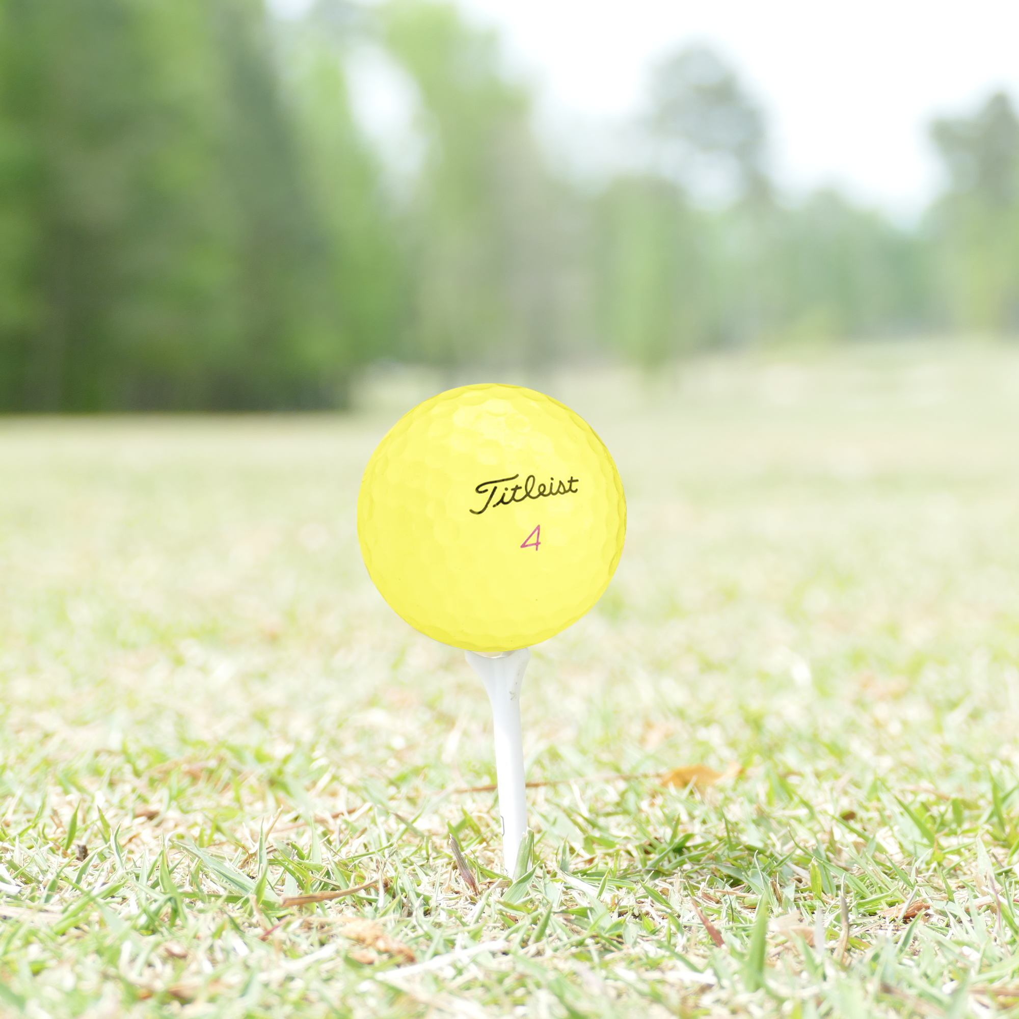 Used Titleist Pro V1x Yellow Mix Golf Balls - 1 Dozen - Maximum Velocity Sports